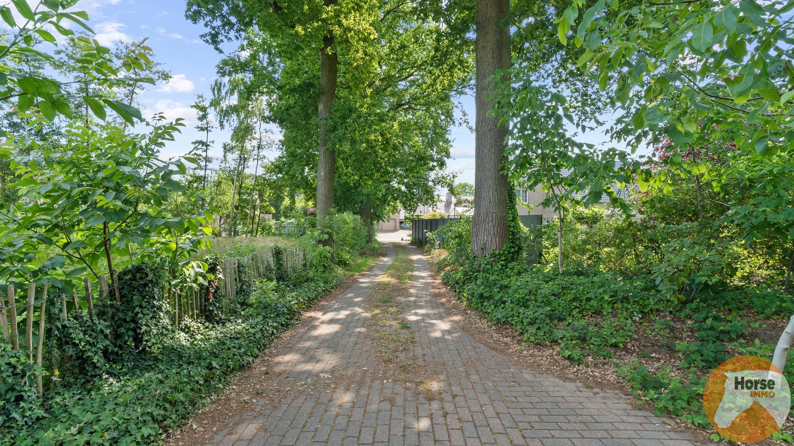 BERINGEN - Achterin gelegen woning op 1ha45 foto 2