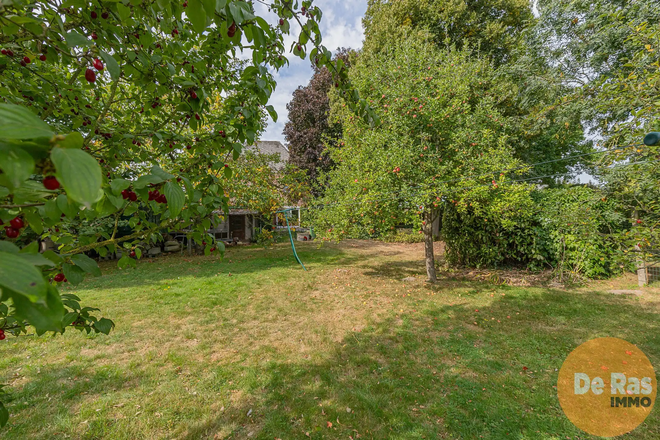 WICHELEN – Karakteristiek burgerhuis op schitterend perceel foto 23