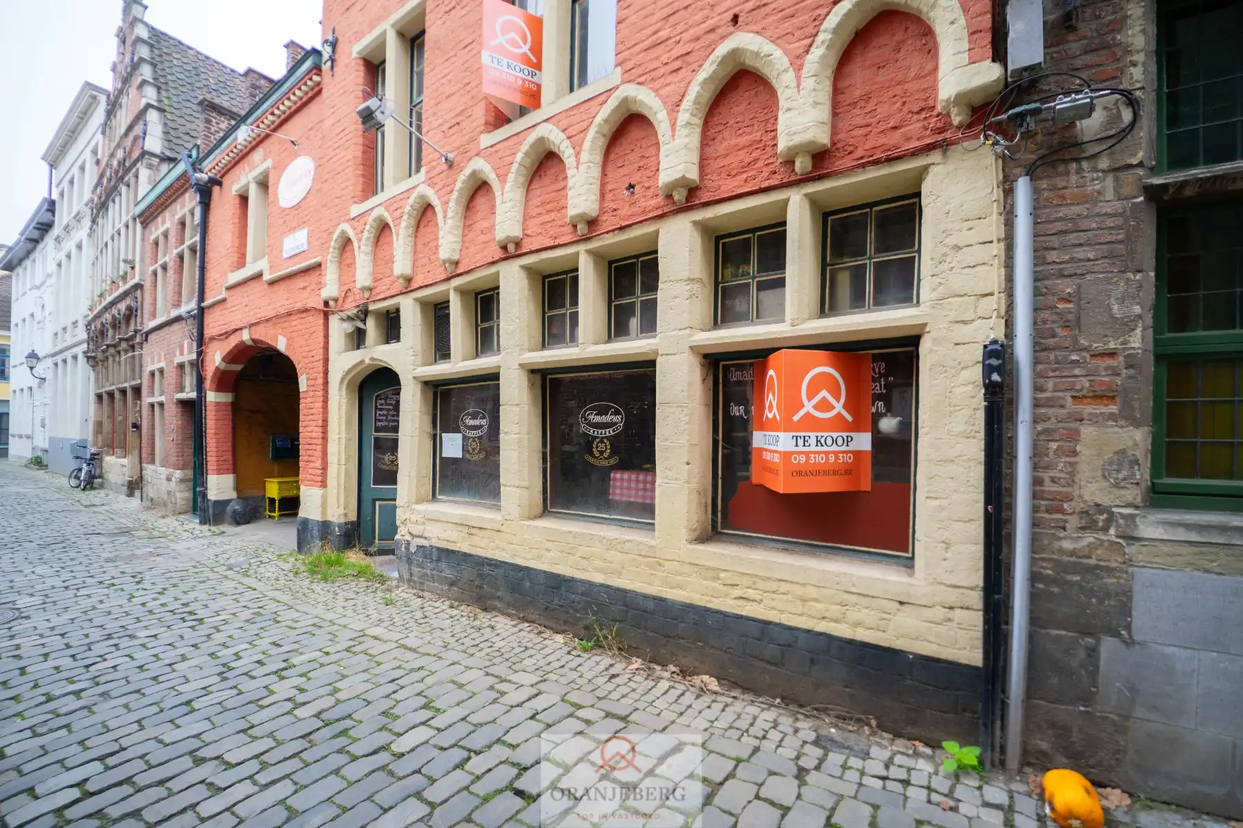 Groot handelspand (248m²) in het Patershol foto 28