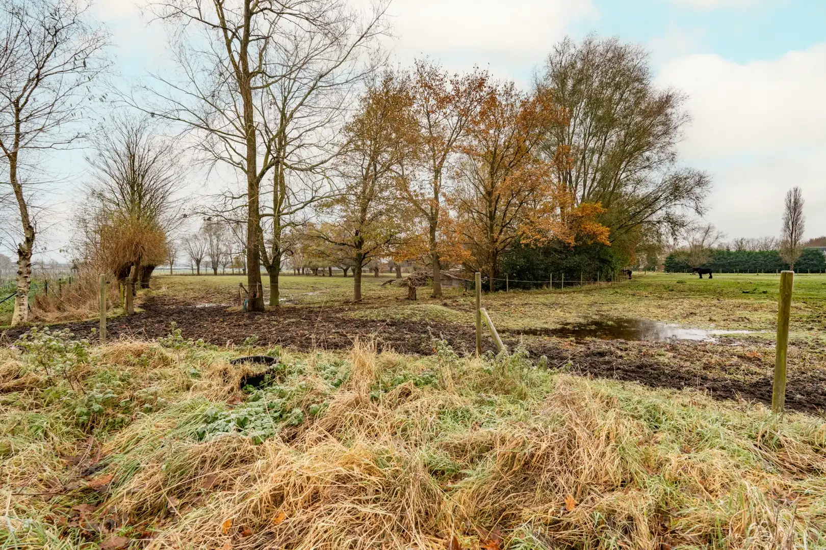 Uitzonderlijk gelegen hoeve op 3,5 ha foto 11