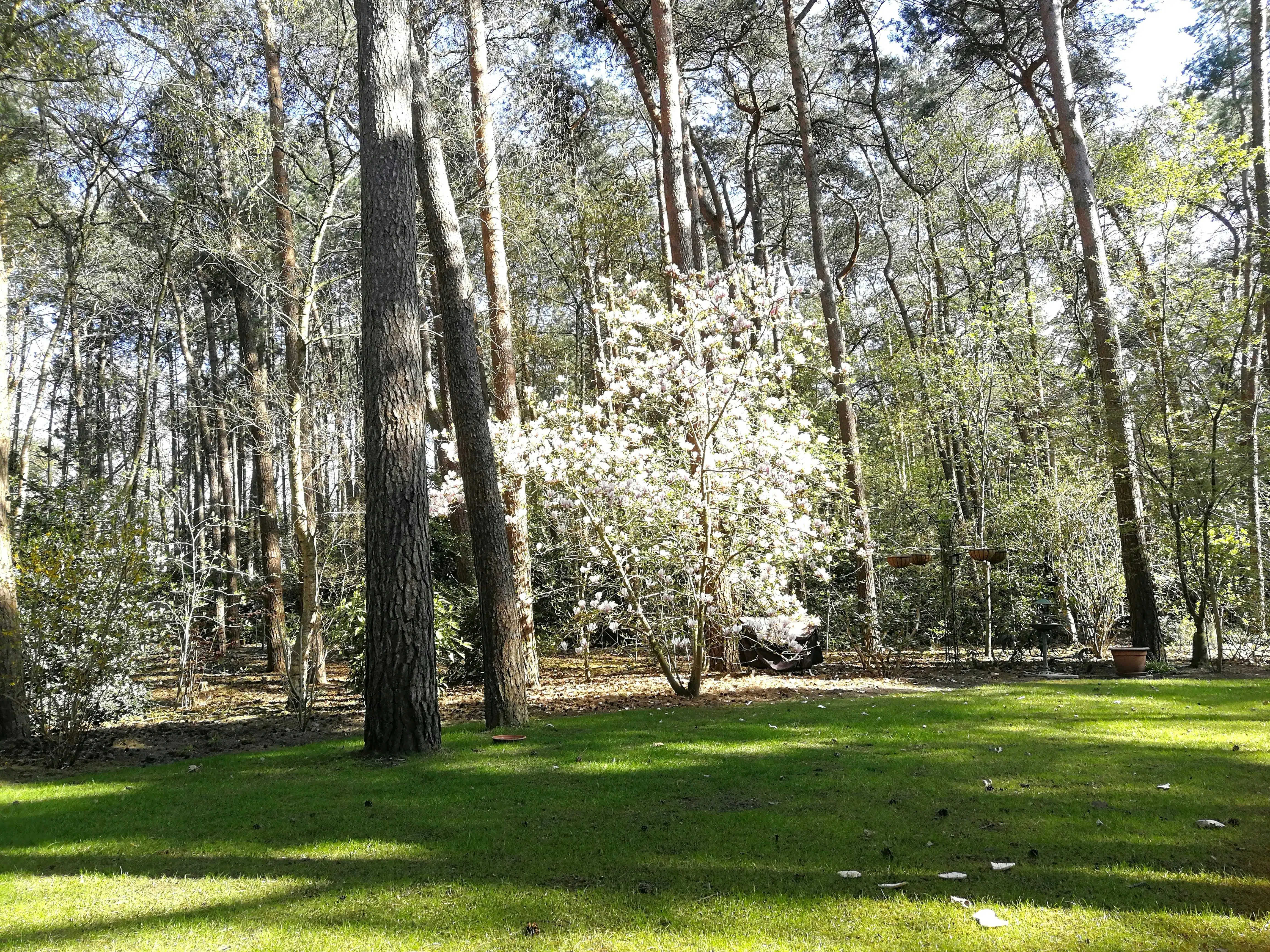 Verzorgde woning op prachtige bosgrond te koop in Wuustwezel foto 28