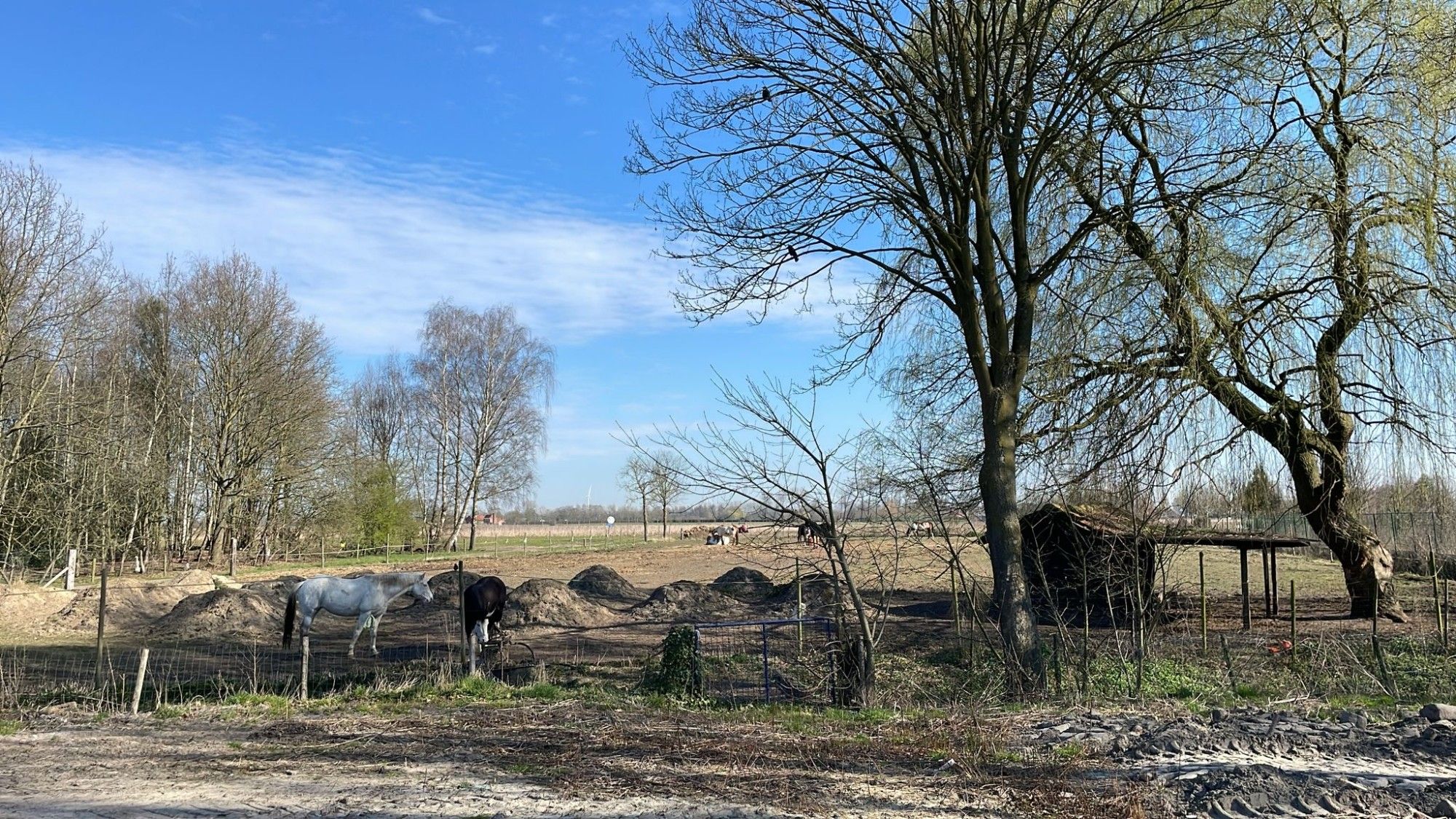 Residentie Arbor: modern, energiezuinig en kwaliteitsvol wonen foto 4