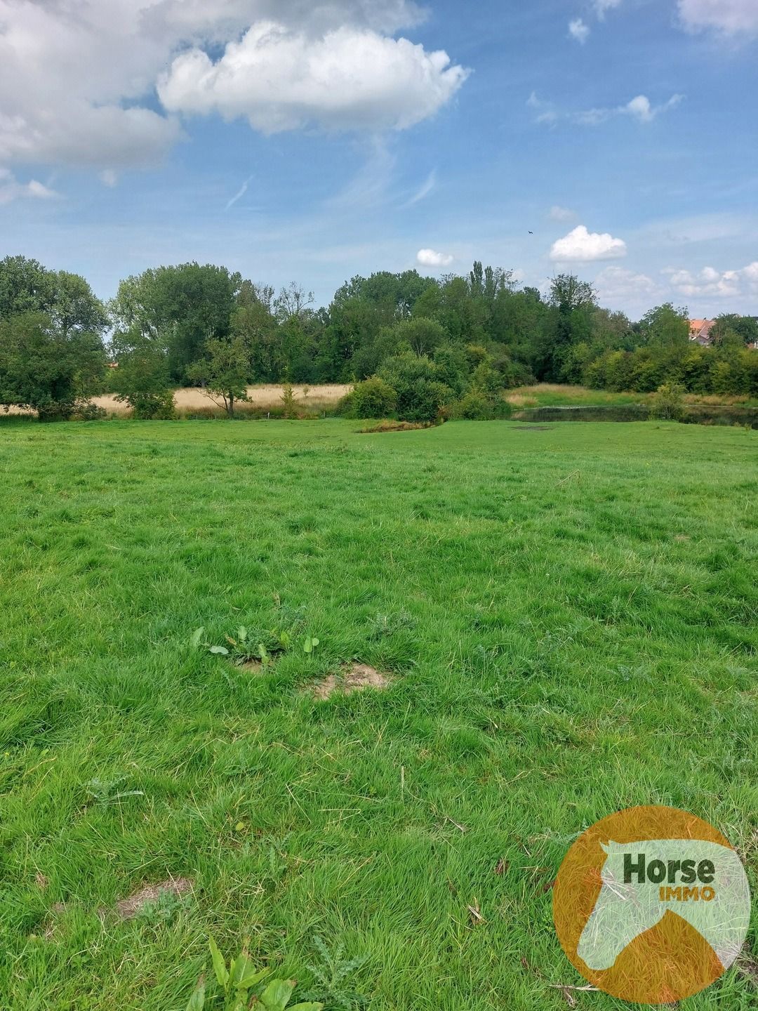 TONGEREN - Weide op +/- 1,5 ha foto 4