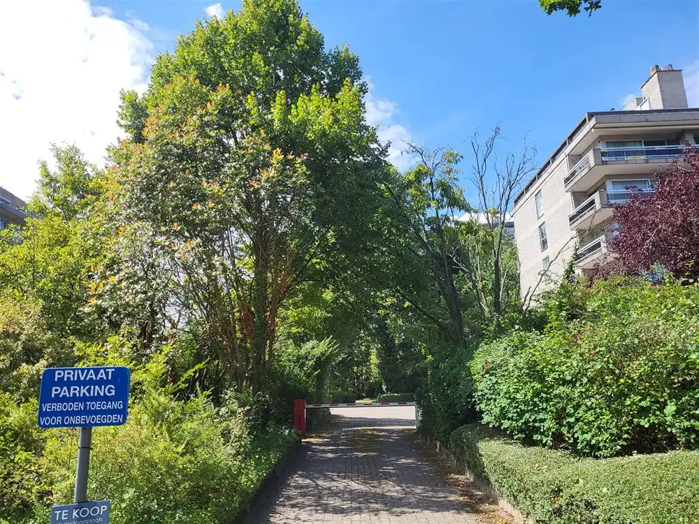 Buitenstaanplaats te Berchem in afgesloten terrein met  hefboom foto 4