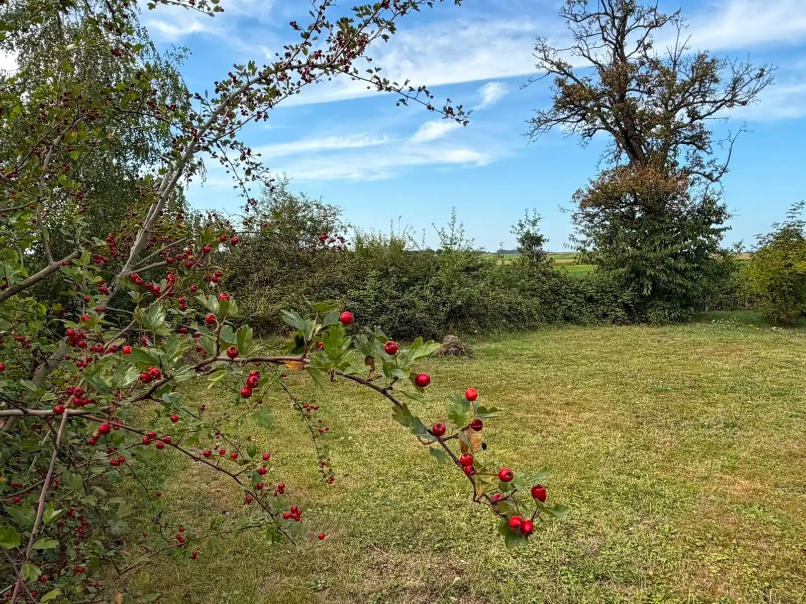 Karaktervolle hoeve met eindeloze mogelijkheden in het groen. foto 26