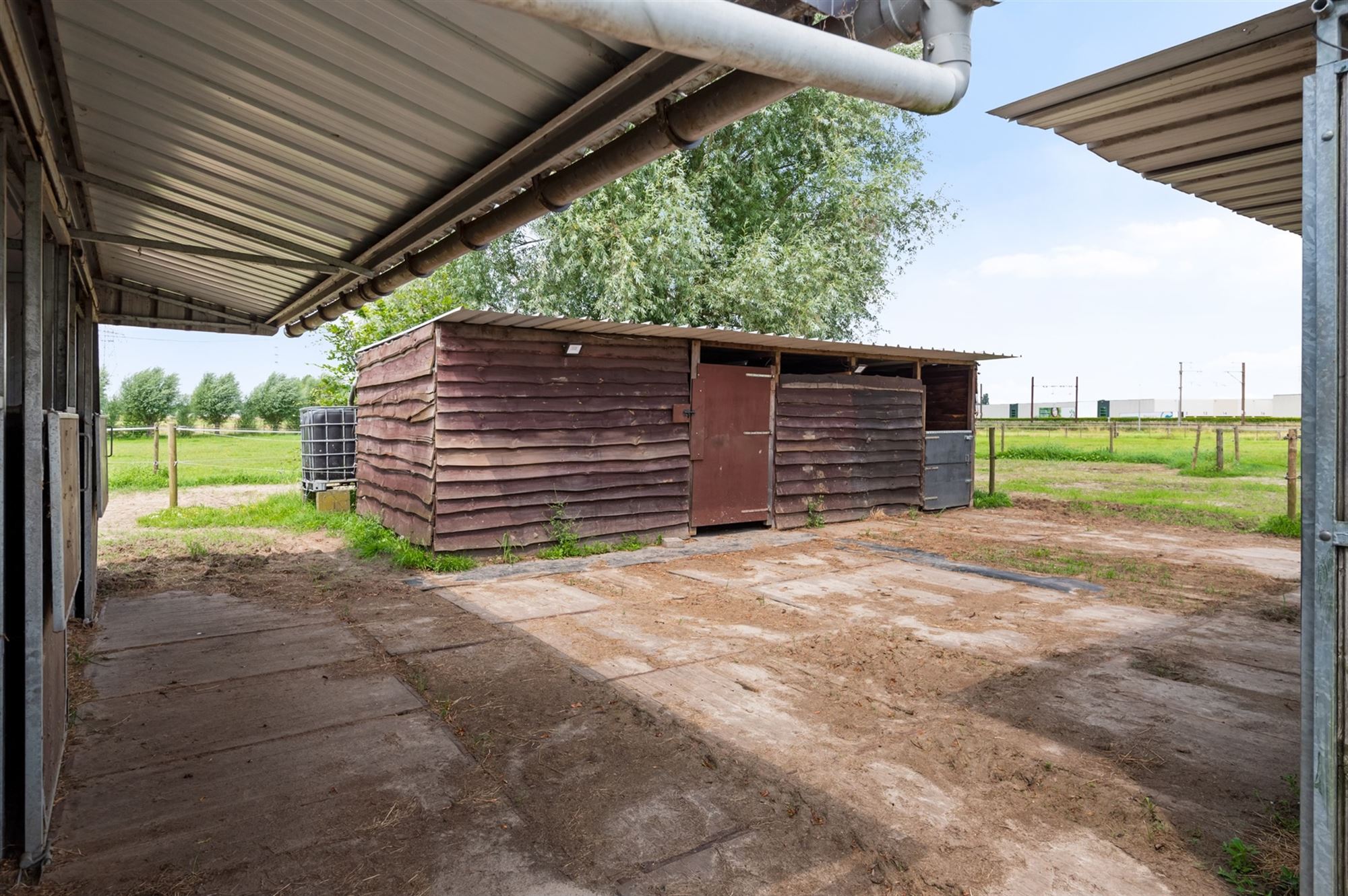 Prachtige paardenweide met stallen en piste foto 14