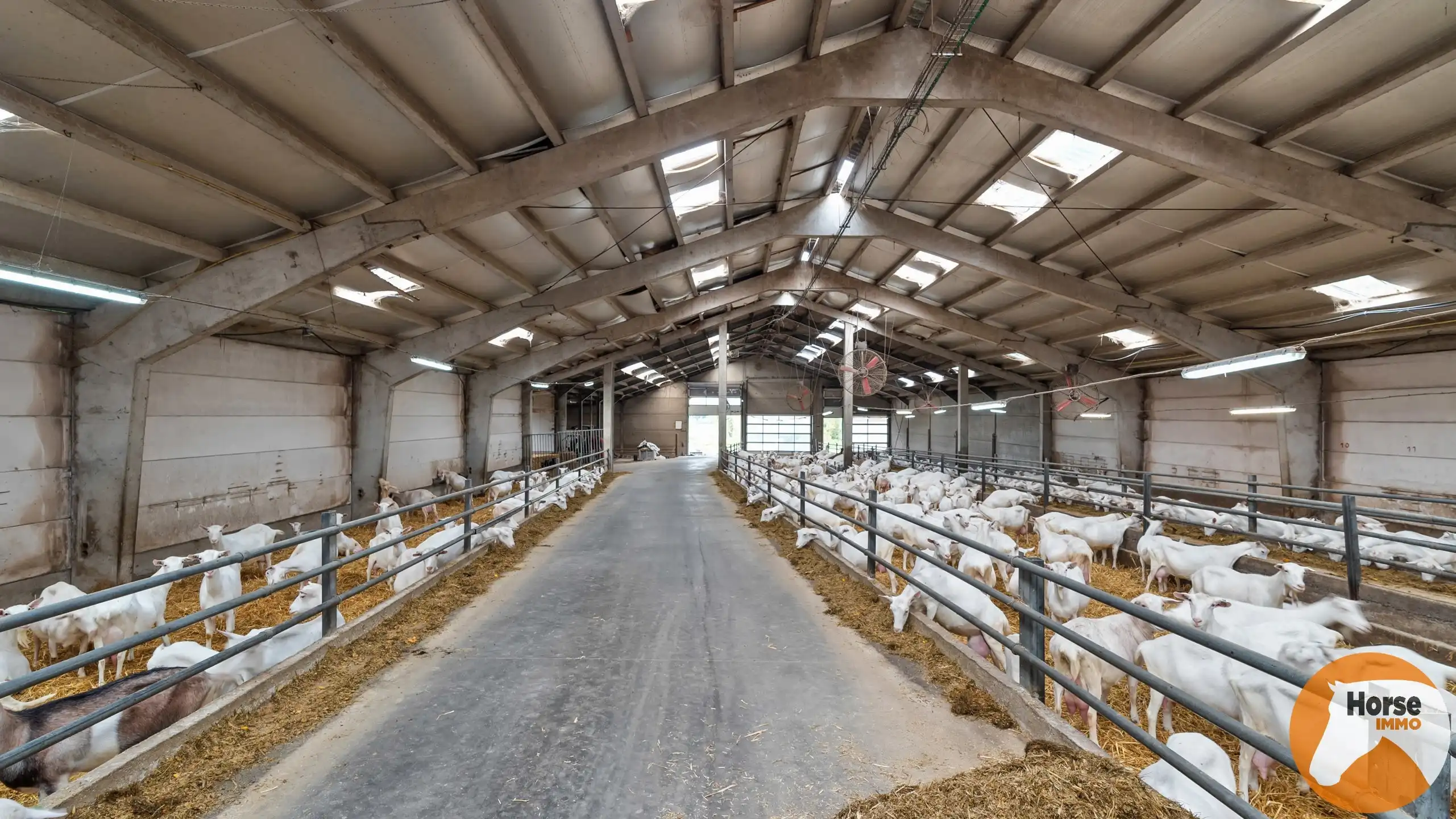 OORDEGEM - Woning met loods op 2,7HA foto 10