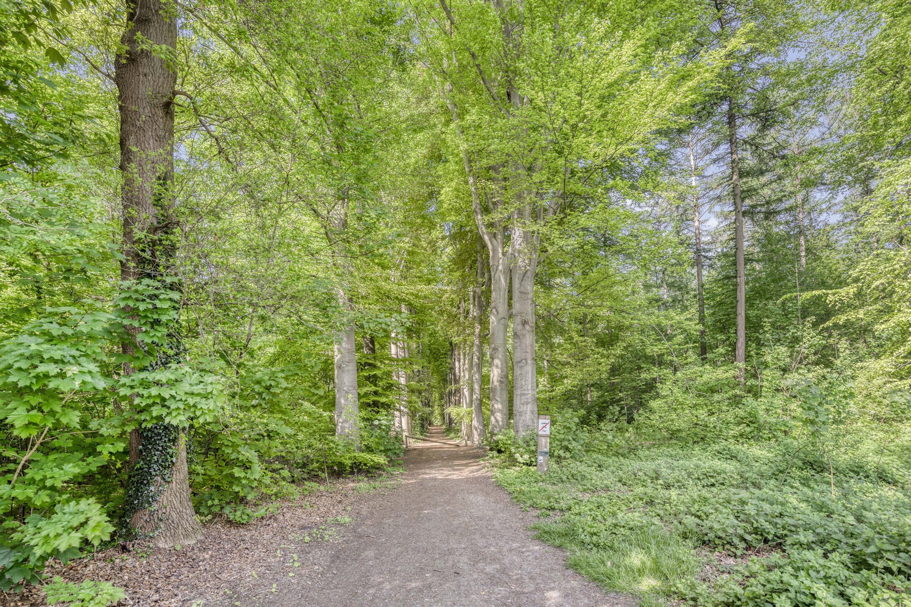 TOTAALRENOVATIE aan ingang Heverlee bos. foto 19