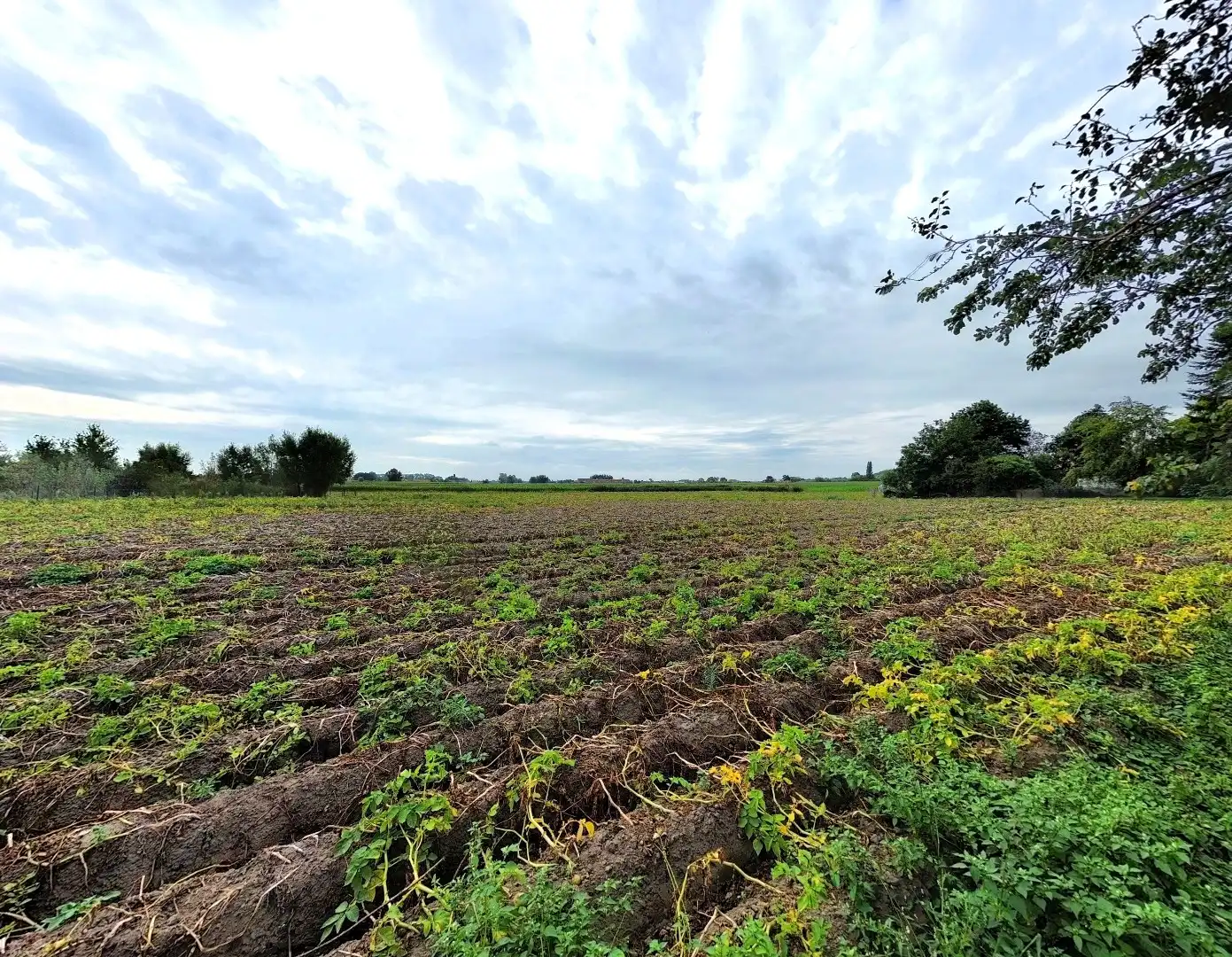 Woning met landelijk verzicht, perceel 800 m², Torhout foto 26