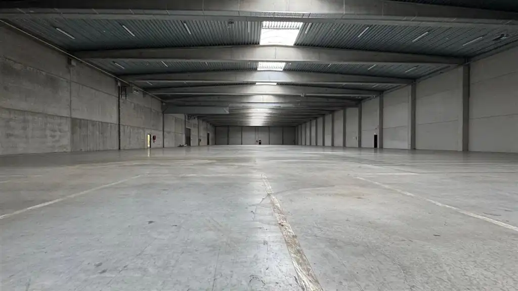 Magazijn met 5 laad- en loskades te huur op uitstekende locatie in Vilvoorde foto 5