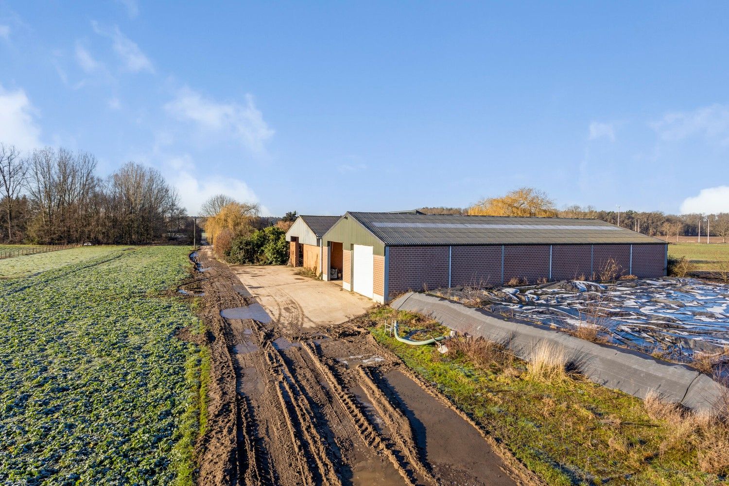 Prachtige boerderij op 1,4 hectare grond in Rekem/Lanaken foto 4