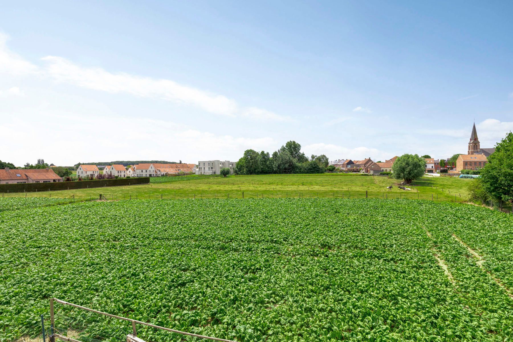 Rustig gelegen woning op 5.913m² !!!! foto 26