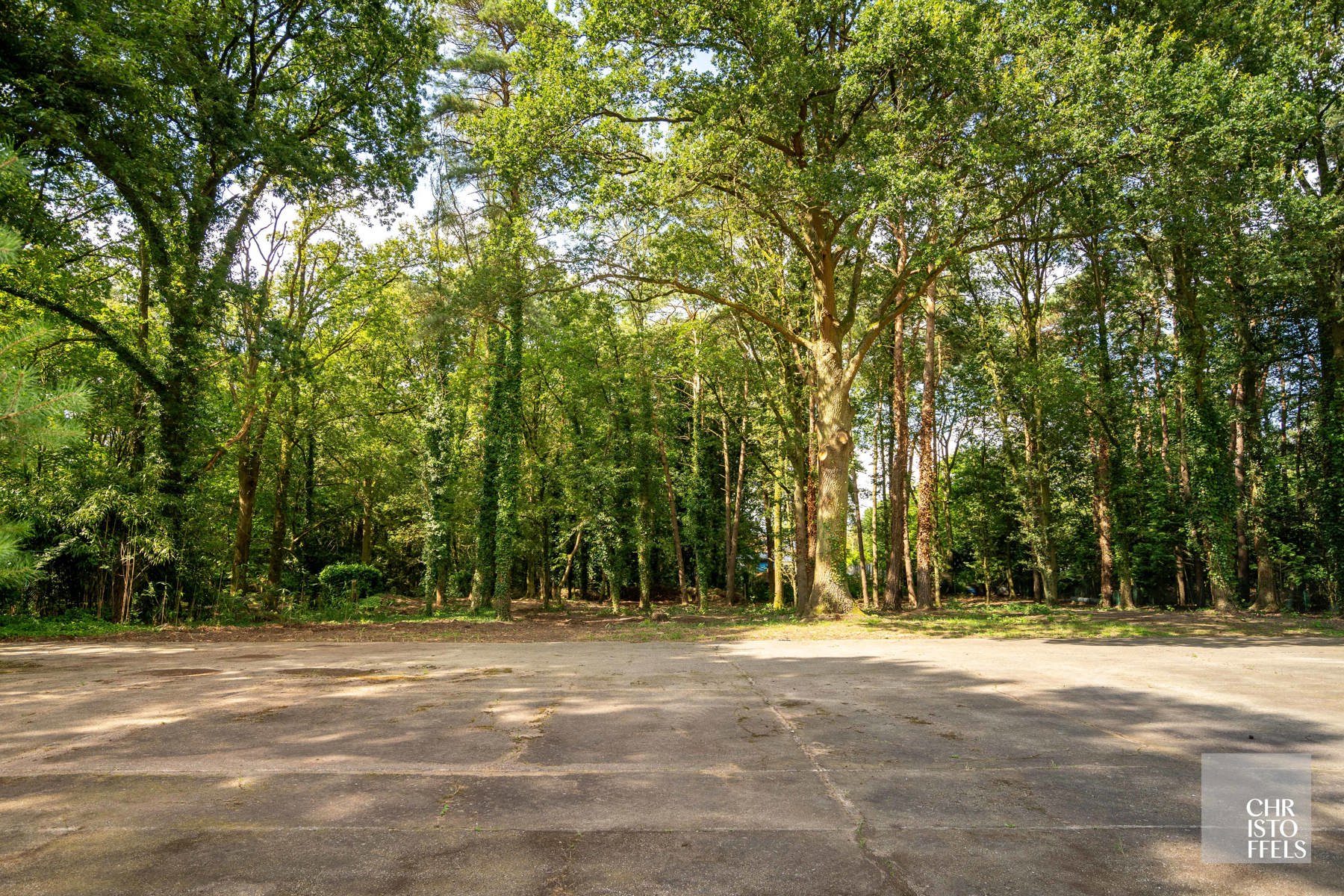 Deels gerenoveerde laagbouwvilla, residentieel gelegen in de bossen op een uitgestrekt perceel van 3.981m² foto 10