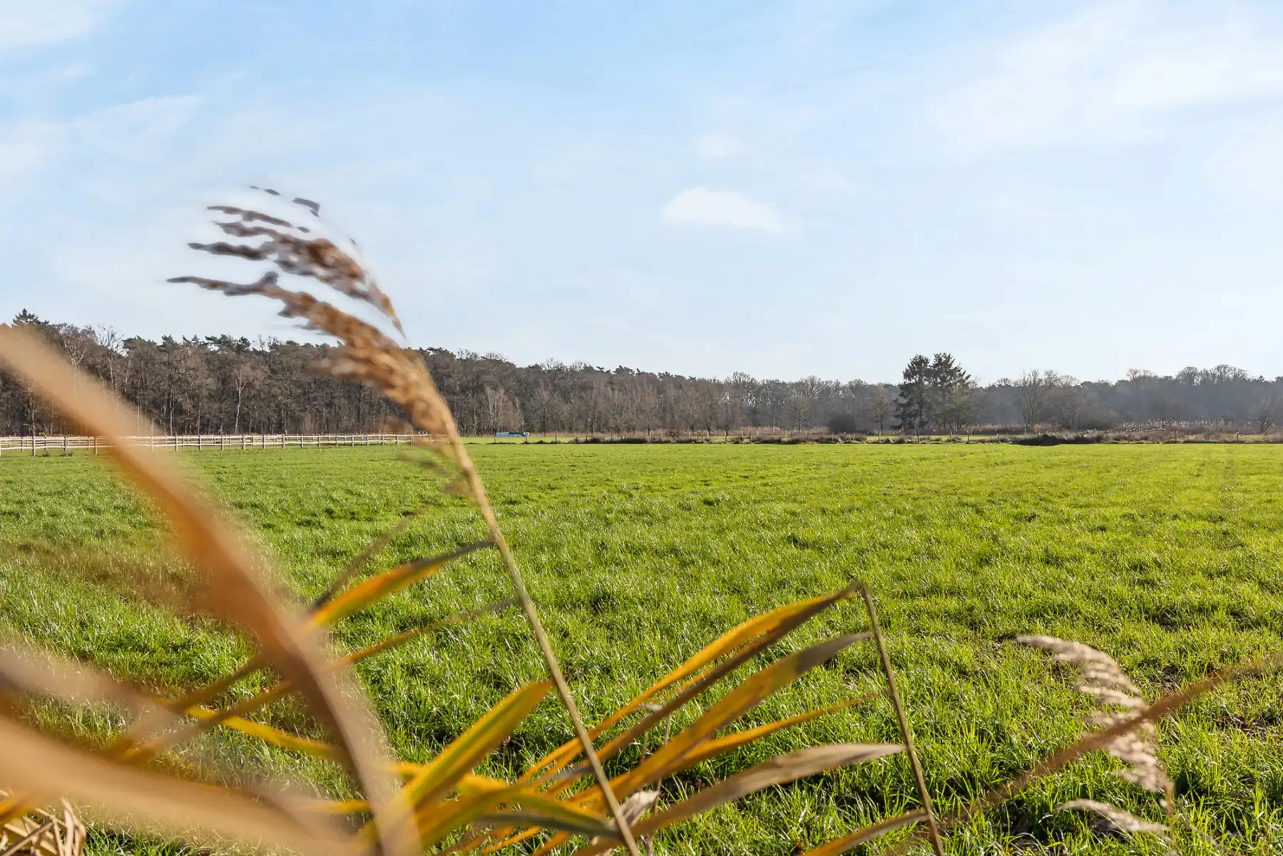Bouwgrond op ca.1005 m² met uniek vrij uitzicht foto 18