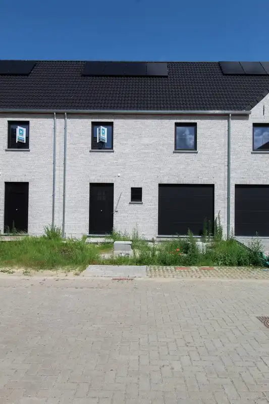 Thuiskomen in het groen te Lokeren. foto 3