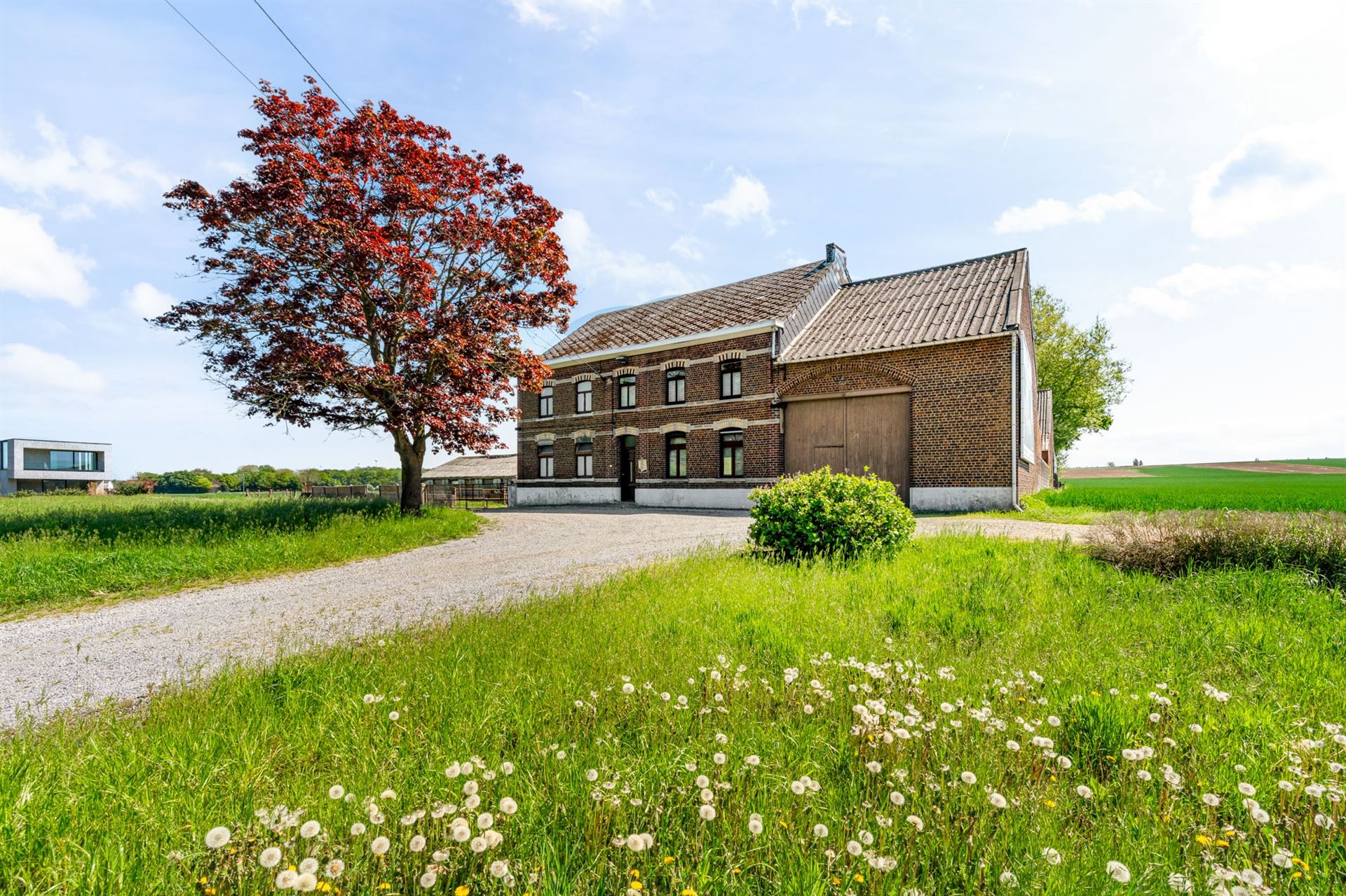 Te renoveren vierkantshoeve met weilanden foto 2