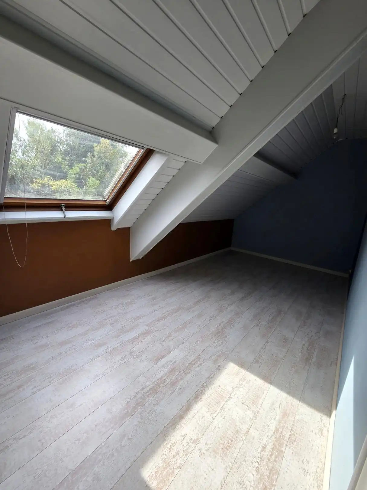 Waar een wil is...is een weg... foto 14