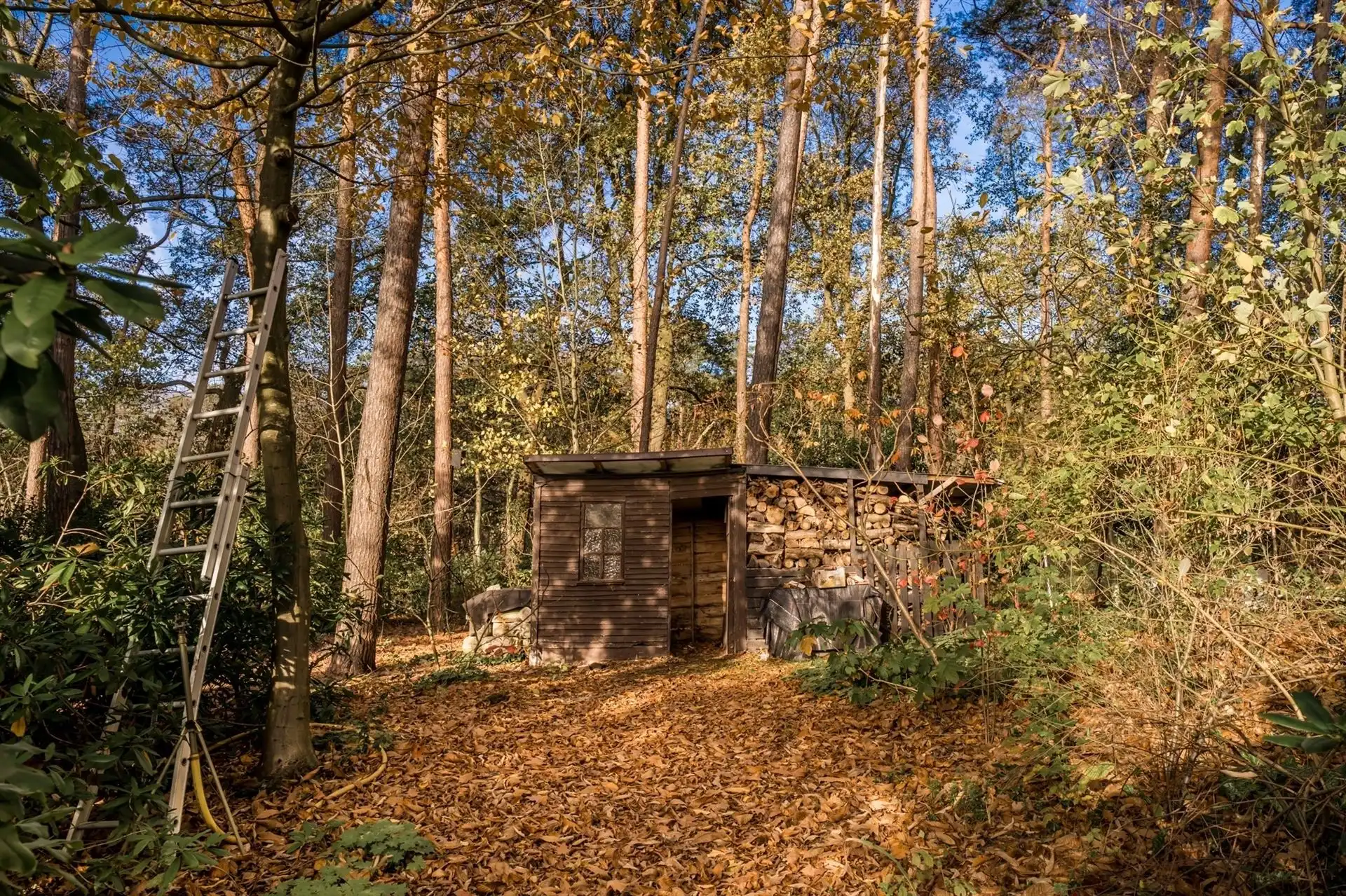 Te renoveren woning met grote tuin en eigen bos in rustig Bonheiden.  foto 24