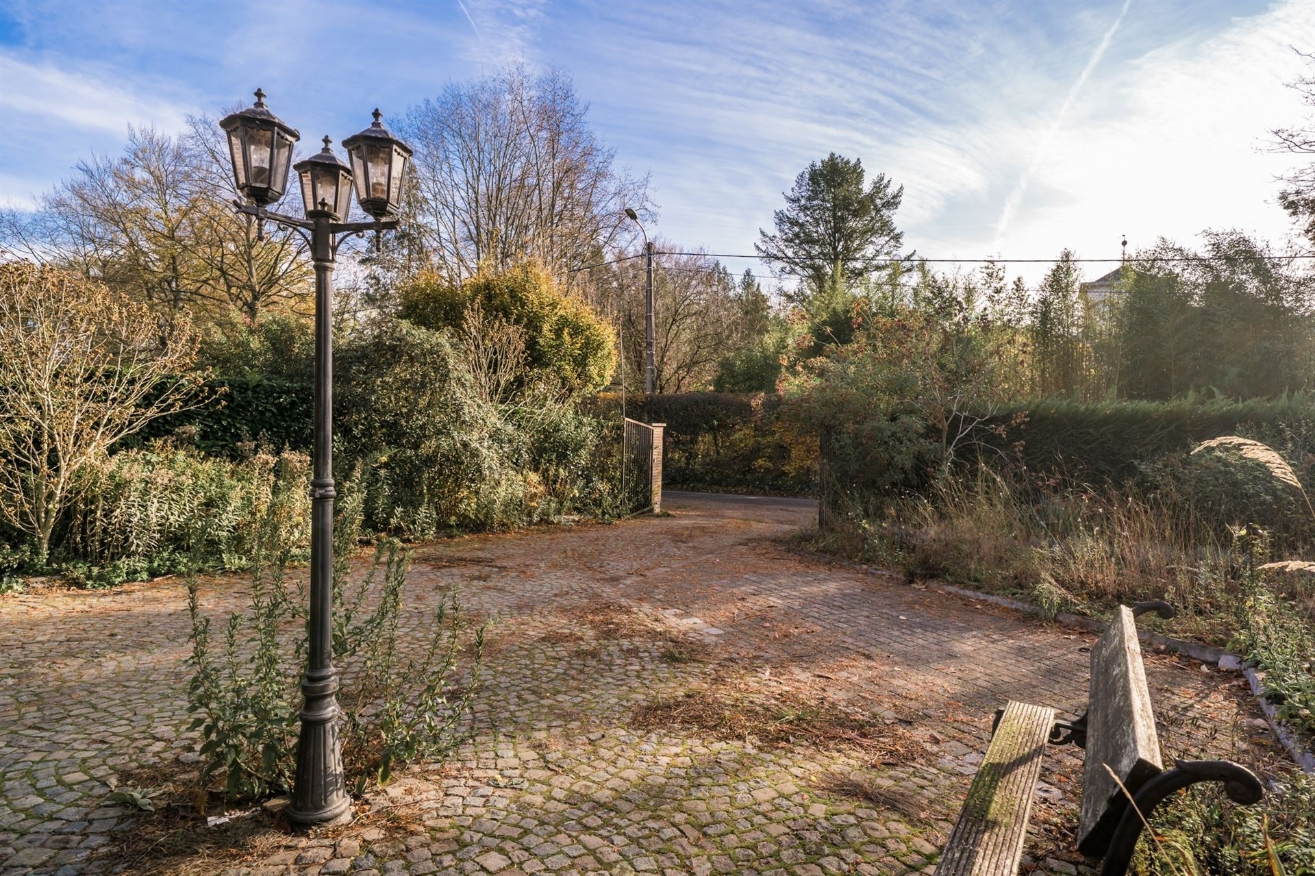 Te renoveren woning met grote tuin en eigen bos in rustig Bonheiden.  foto 24
