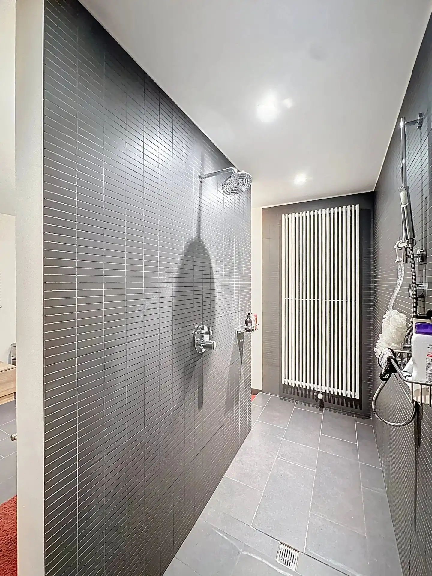 Zeer ruim en luxueus appartement met 2 slaapkamers, terras, tuin en overdekte staanplaats. foto 21