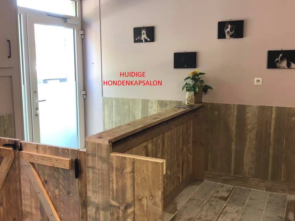 gezellige woning met WEIDE, paardenstallen en PRAKTIJKRUIMTE foto 16