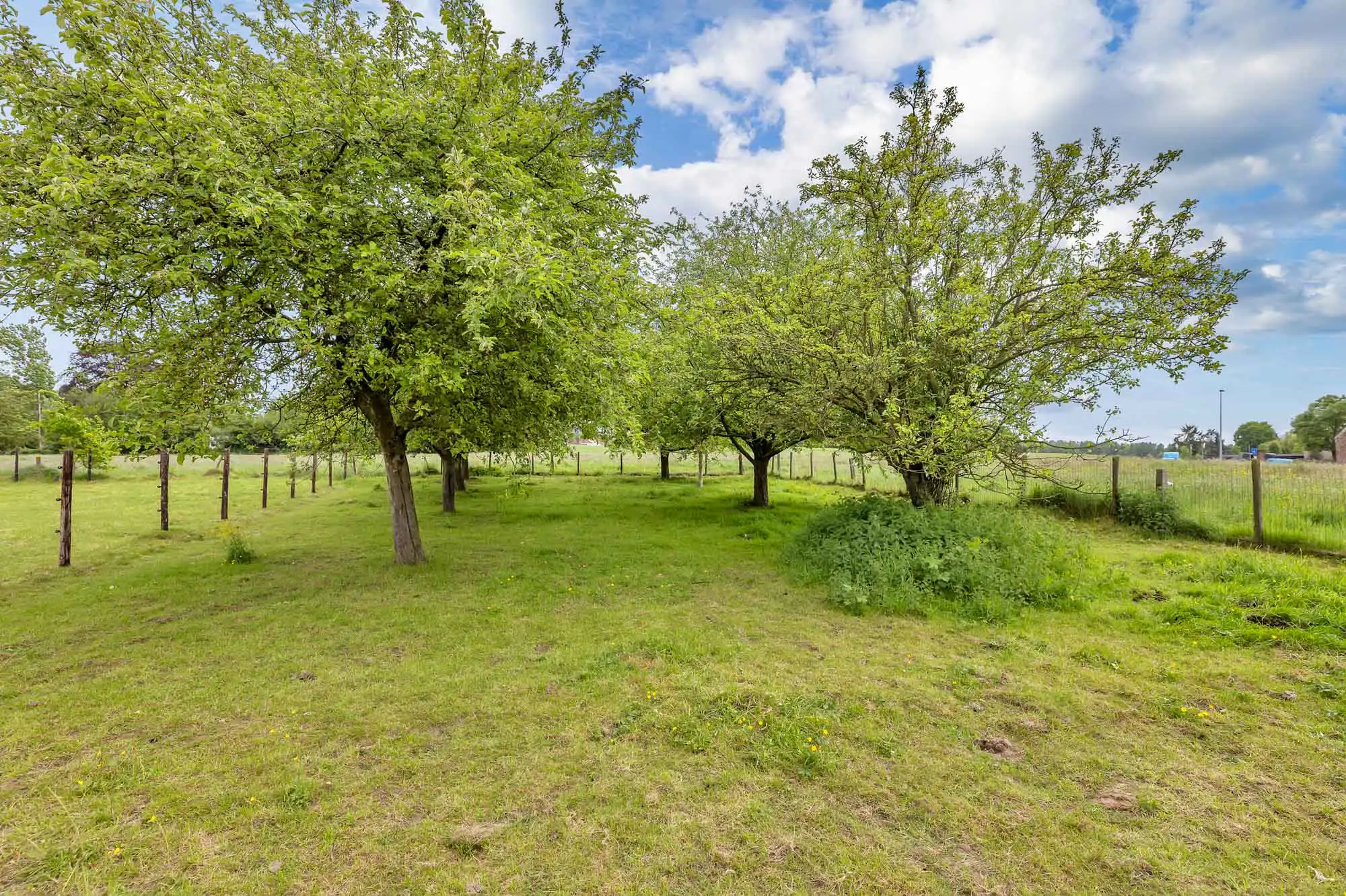 Landelijk wonen met ruimte voor dieren en boomgaard op 18a45 foto 30