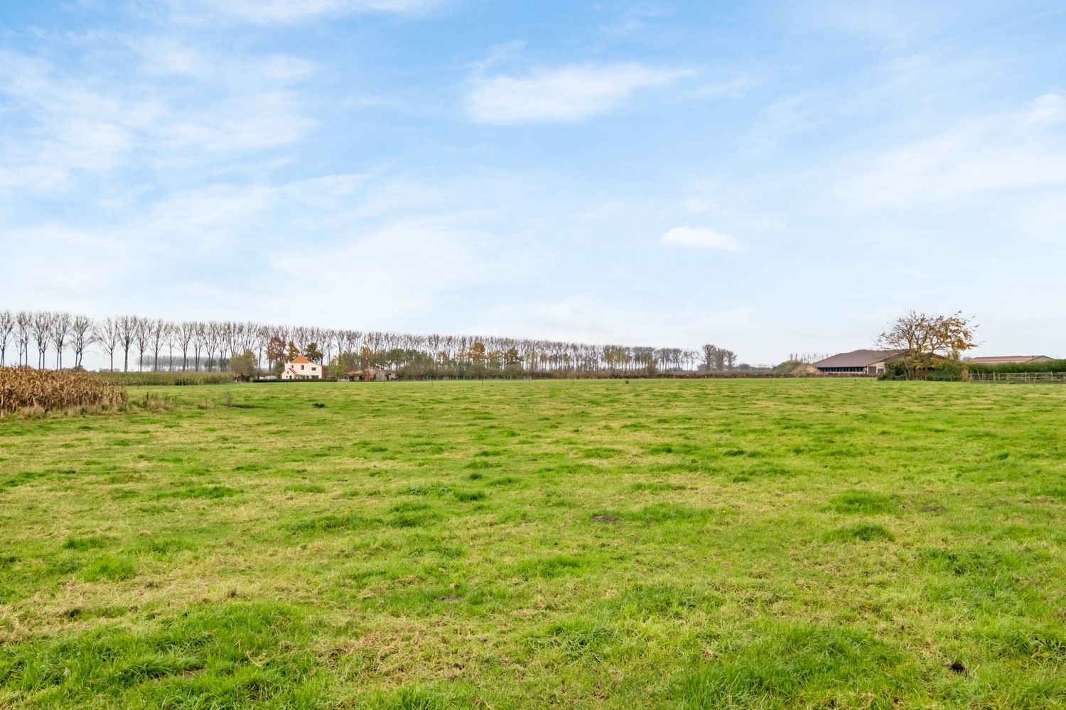 Totaal gerenoveerde woning gelegen in polder- en krekengebied! foto 3