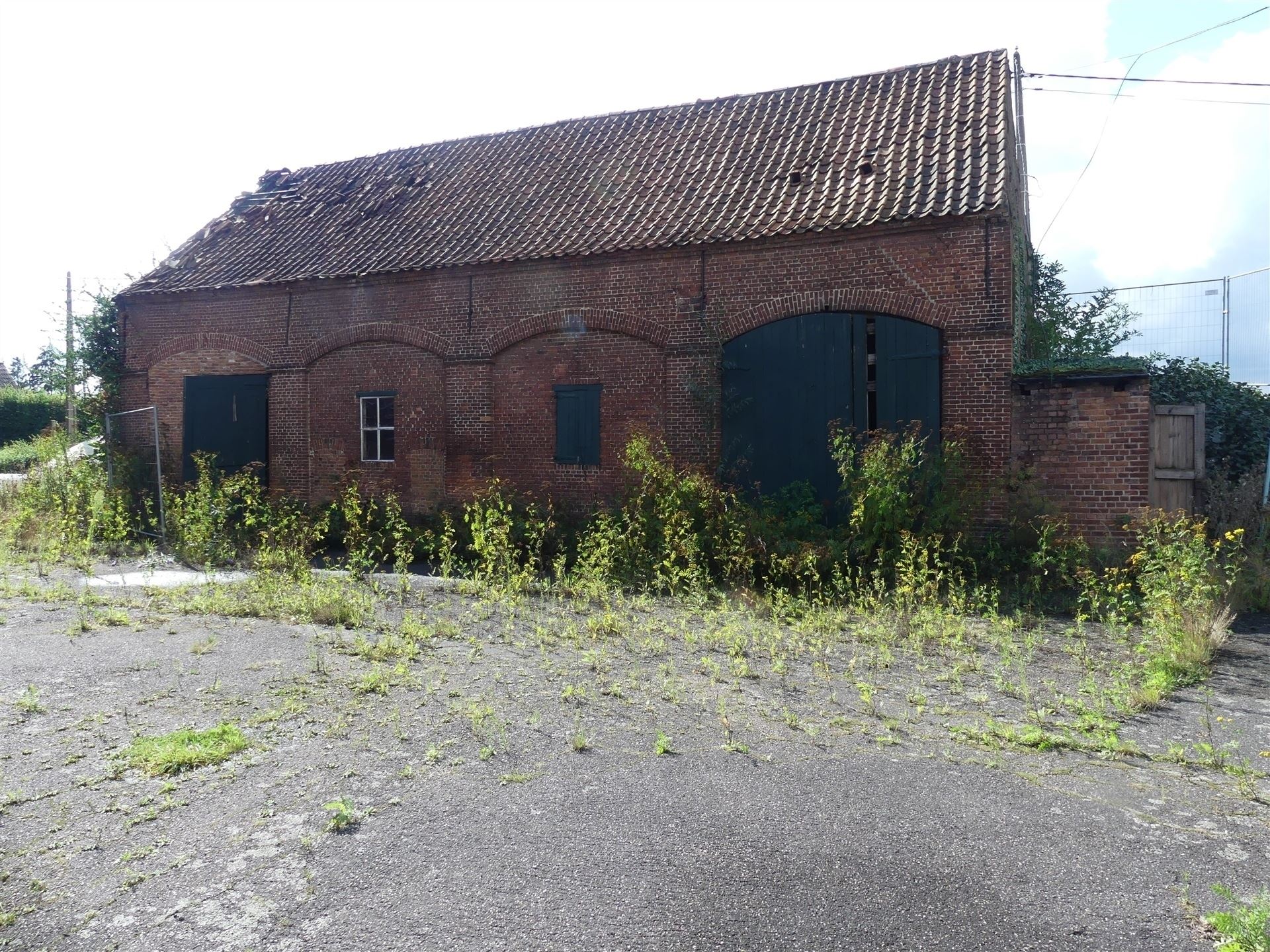 Boerderij foto 4