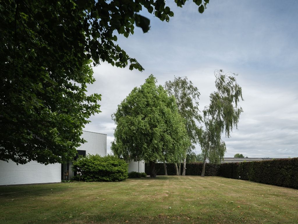 Vrijstaande modernistische villa te Zomergem op een uitzonderlijk perceel van 2.595m². foto 5