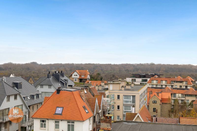 LUXUEUS APPARTEMENT MET TWEE SLAAPKAMERS OP DE ZEEDIJK foto 17