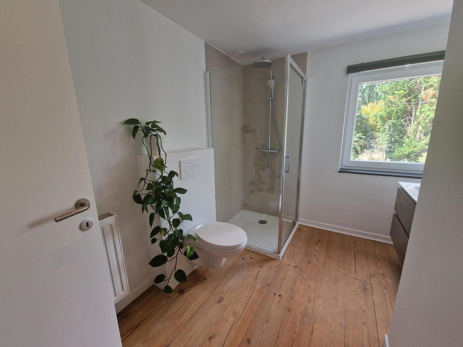 Volledig gerenoveerde woning 3 slps te Goetsenhoven (Tienen) foto 15