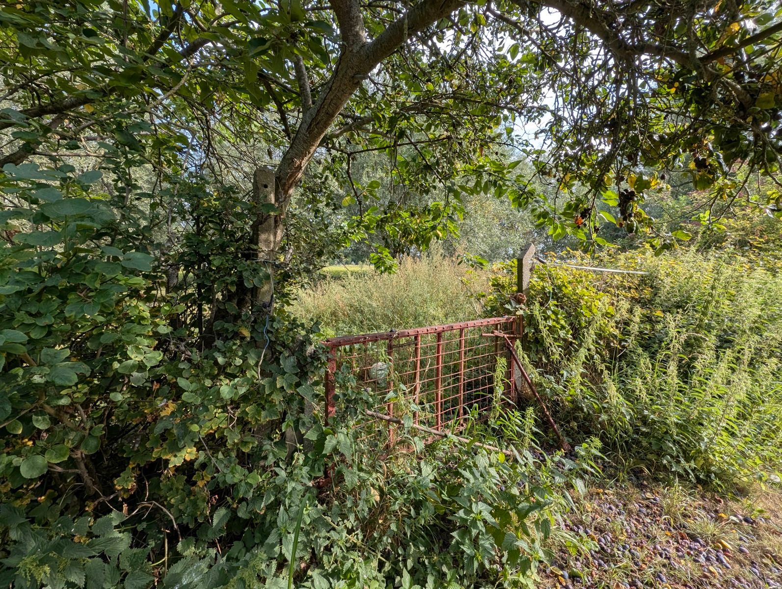 Authentieke hoeve te koop , Adinkerke foto 12
