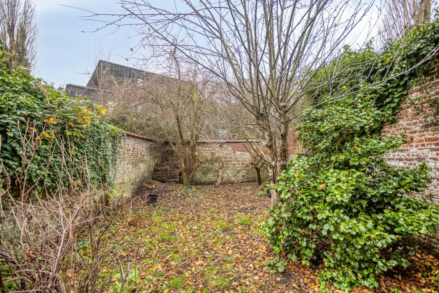 Immo DAVID stelt voor: charmant herenhuis met tuin in Ukkel foto 25