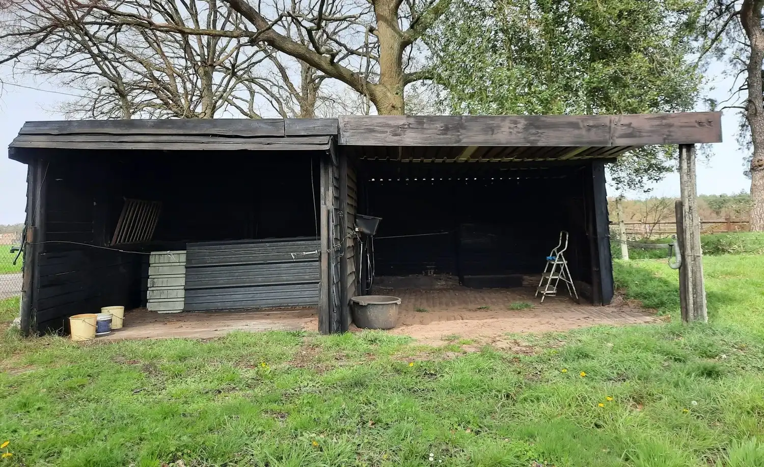 Mooie omheinde weide met schuilstallen te Helchteren foto 7