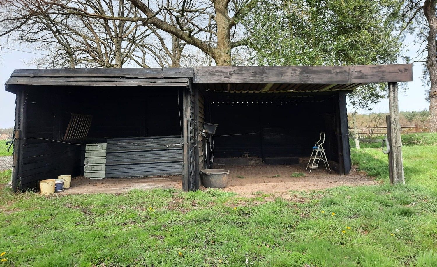 Mooie omheinde weide met schuilstallen te Helchteren foto 7
