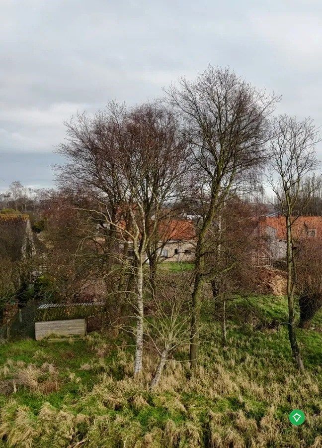 Alleenstaande woning met 4 slaapkamers te Kortemark foto 16