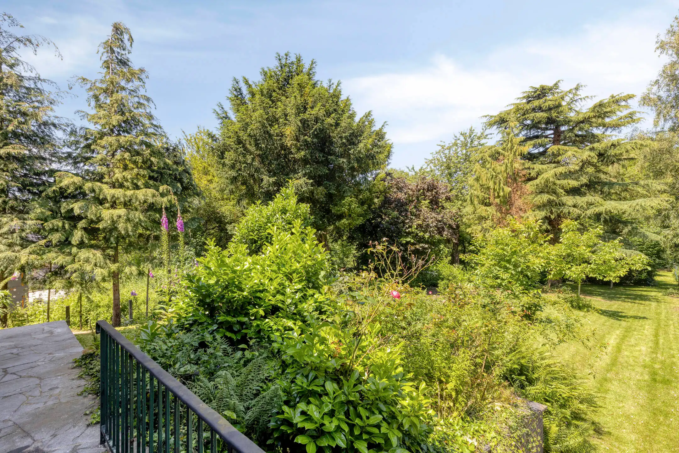 Ruime woning op 1.700 m² en optionele weide van 4.200 m² foto 22