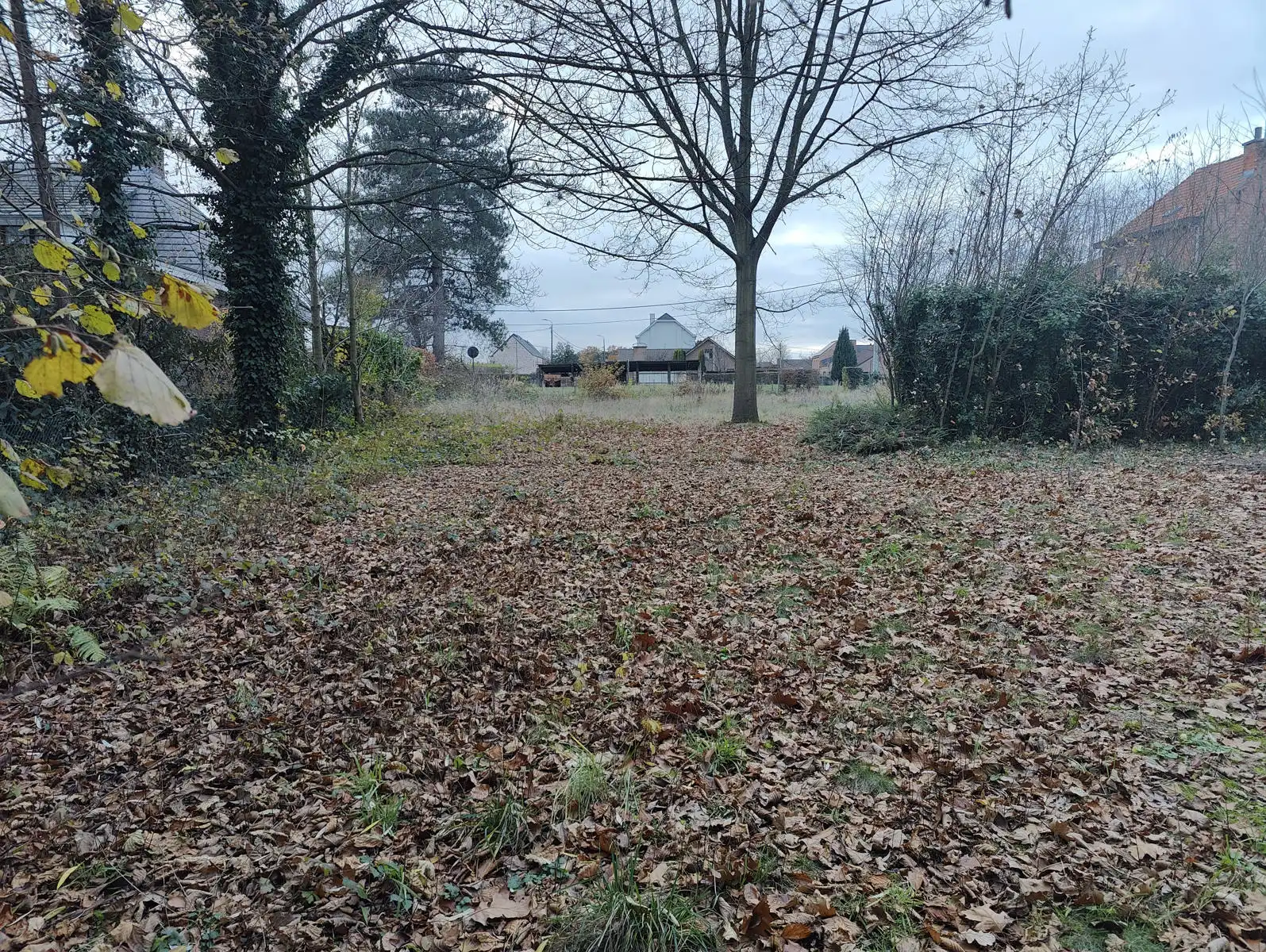 Zeer interessante bouwgrond op toplocatie foto 8