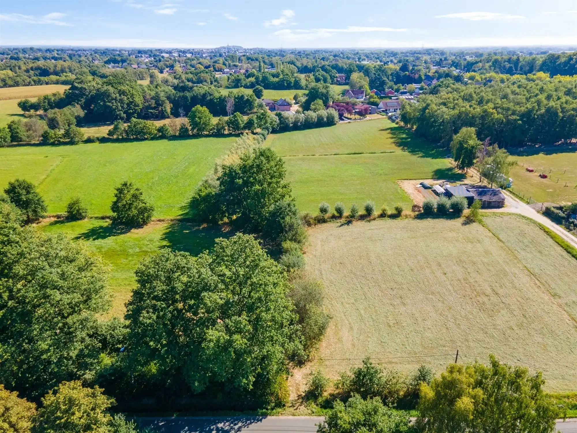 Perceel landbouwgrond te Beerzel - opp. 2547 m² foto 4