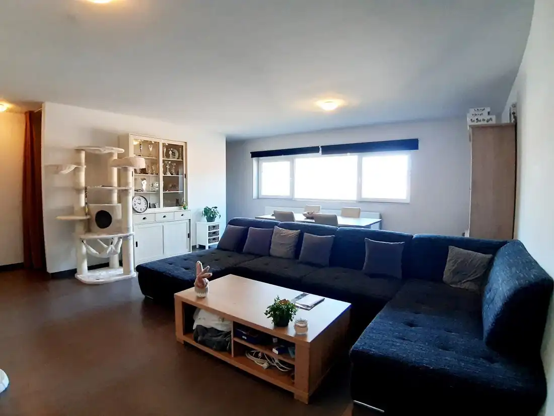 Moderne rijwoning te Zonhoven foto 3