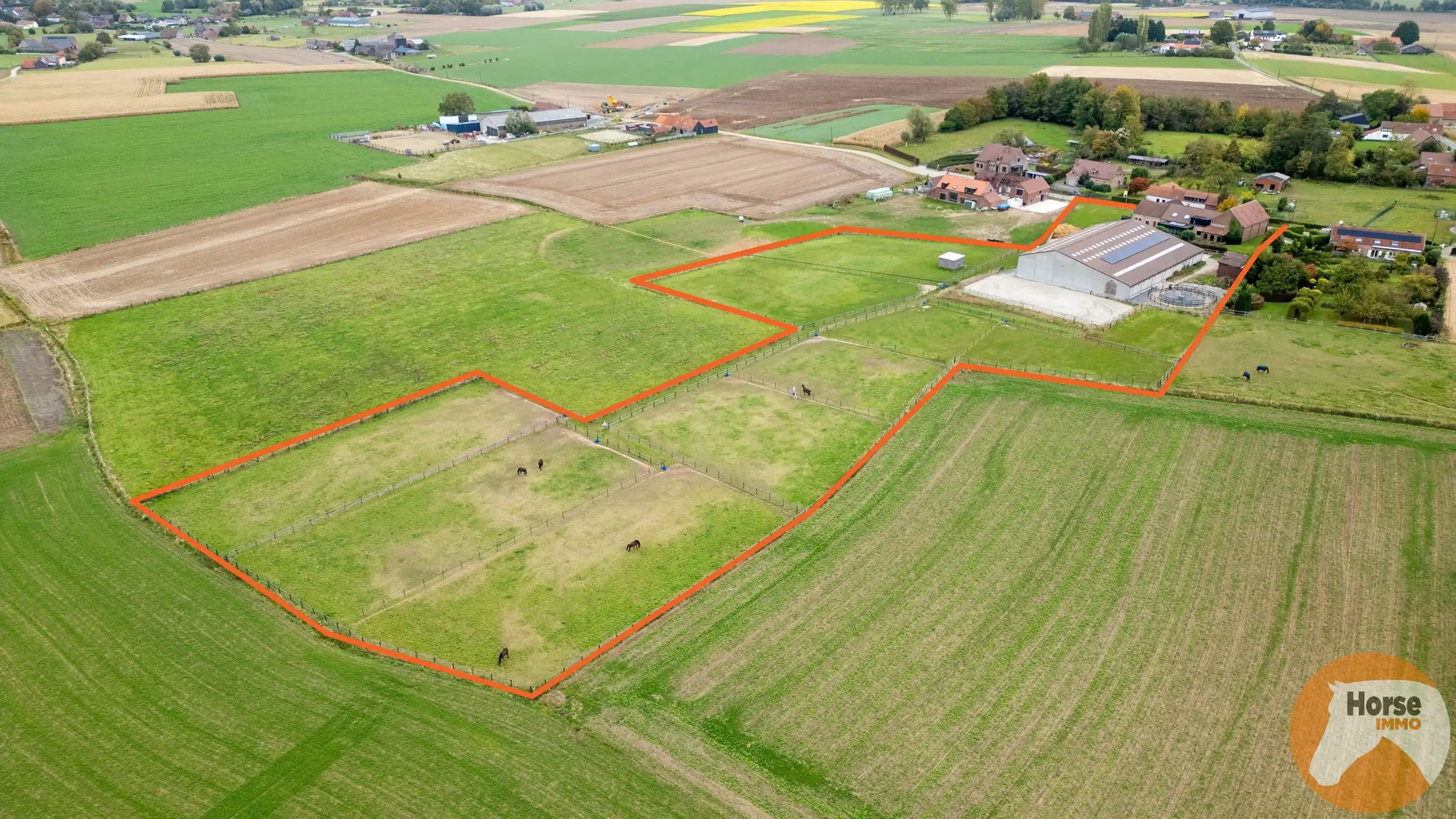HERNE - Paardenaccommodatie met woning op 2,4ha foto 2