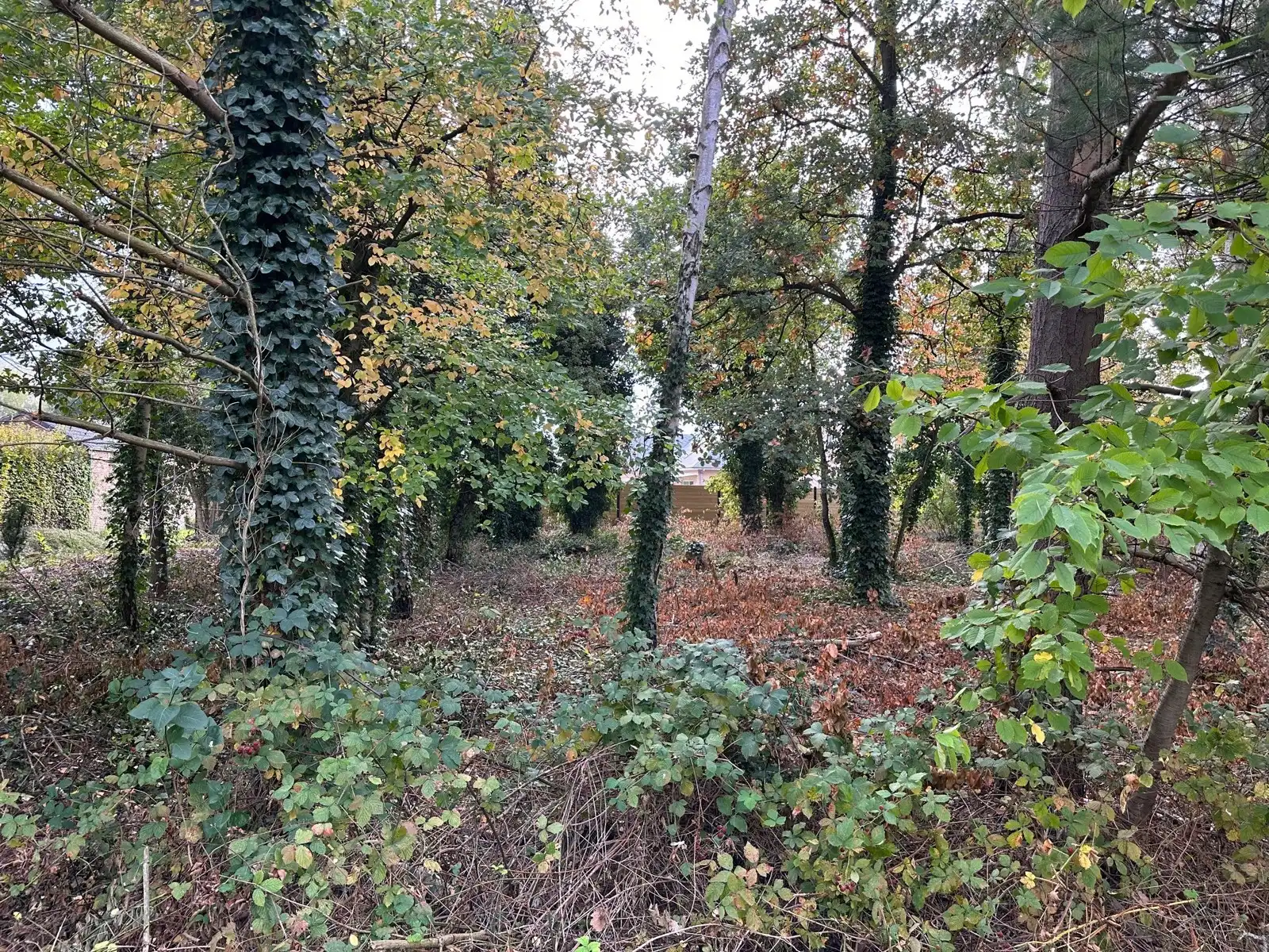 Achtergelegen bouwgrond OB 810 m2 te 3140 KEERBERGEN foto 4