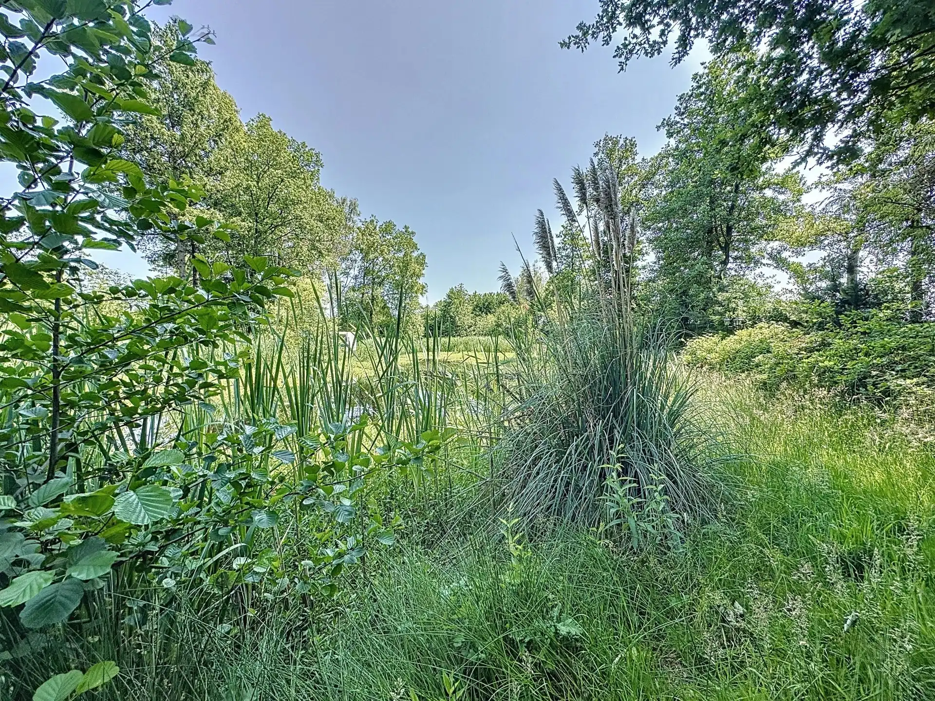 Uniek stuk recreatiegrond met vijver en bouwmogelijkheid – 2154 m². foto 2