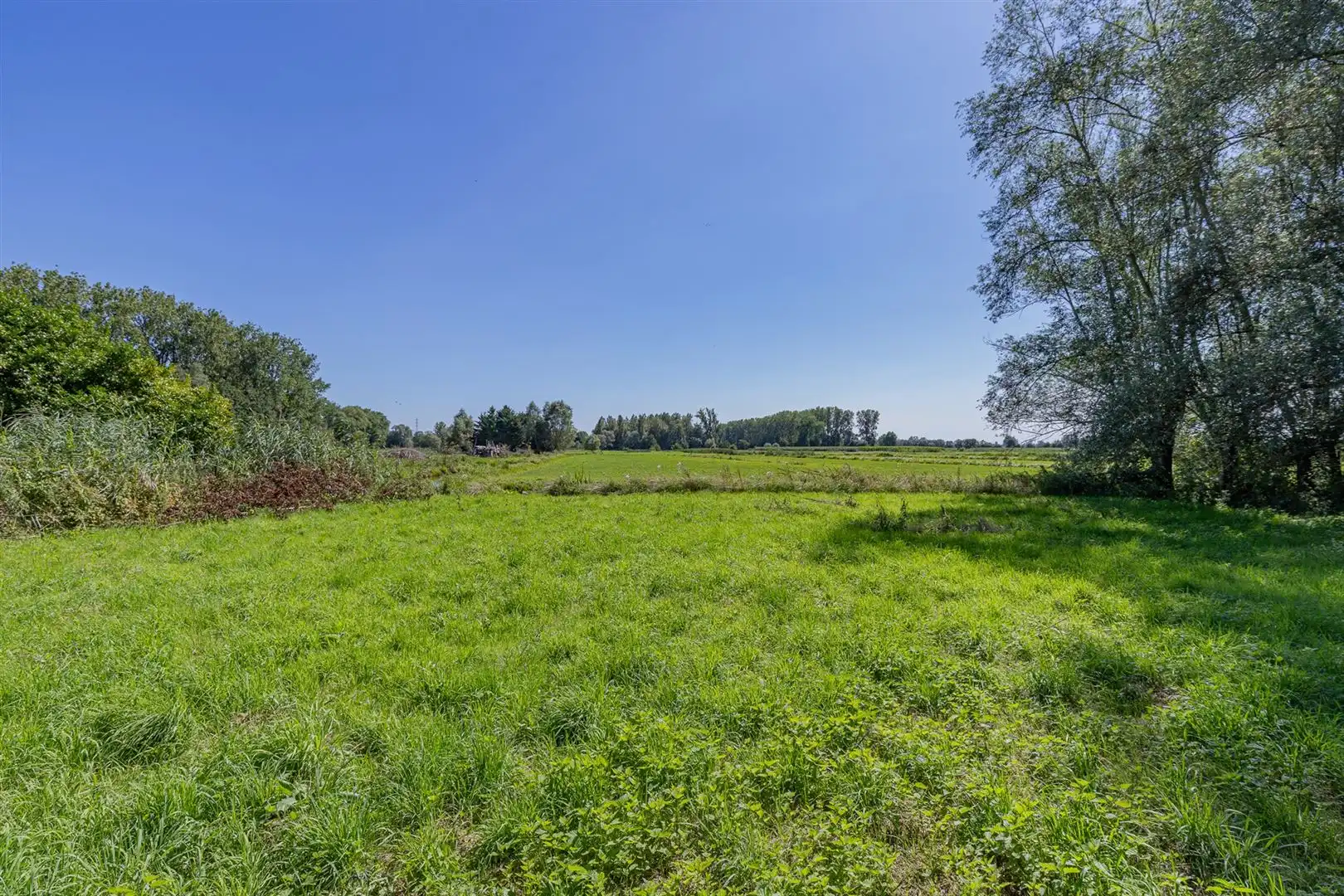 Exclusieve bouwgrond te koop Sint-Onolfsdijk, Dendermonde foto 12