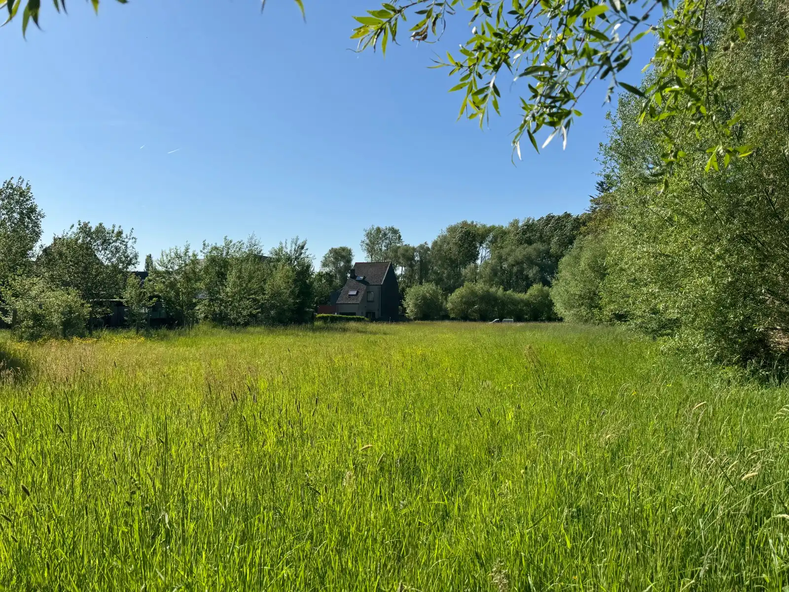 Grond te koop Moorselbaan 529 - 9300 Aalst