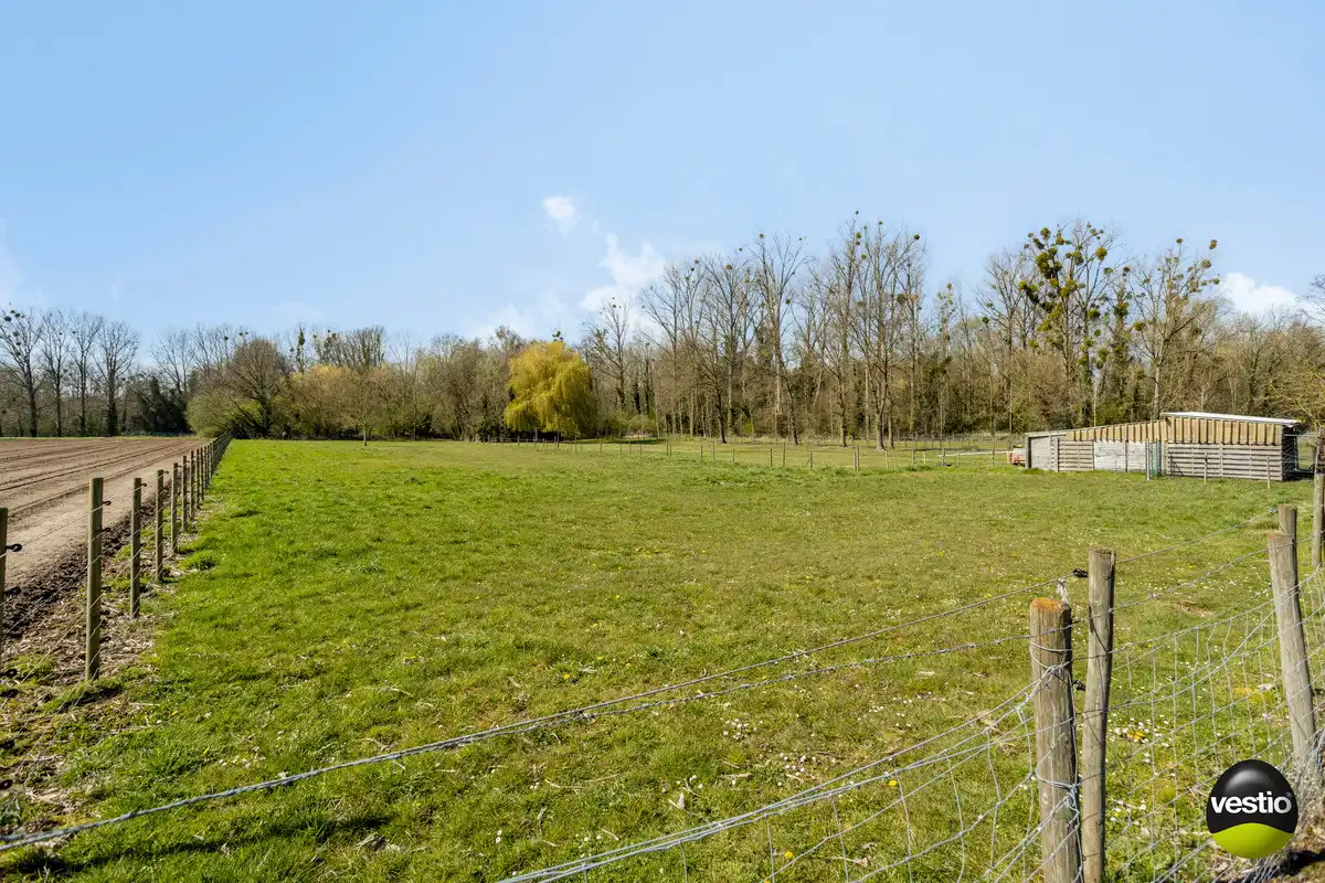 WONING OP 7A59CA MET ACHTERLIGGENDE WEILANDEN 62A53CA TE RIJKHOVEN. foto 3