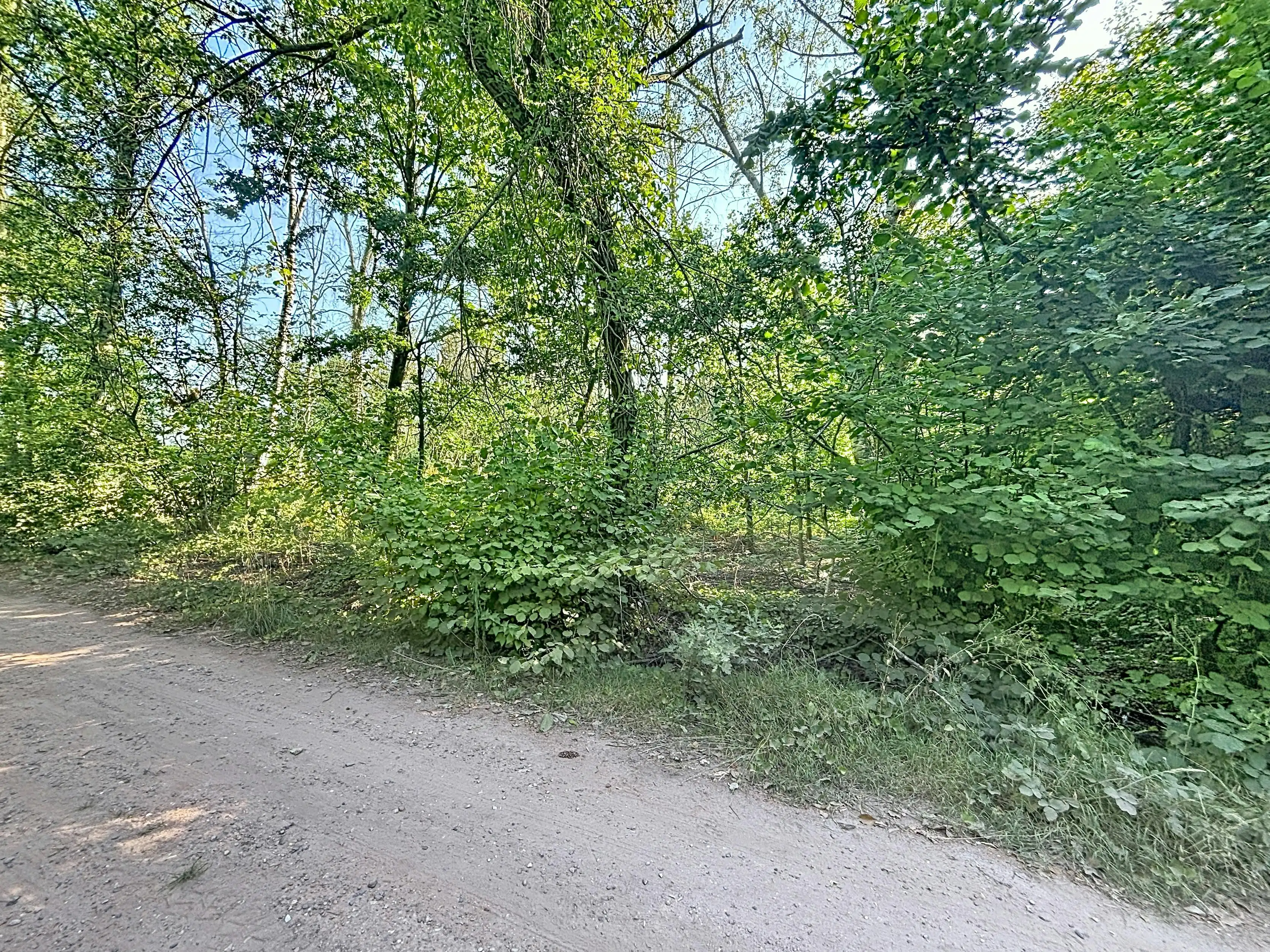 Rustig gelegen grond (ca. 1.010 m²) te koop in Wuustwezel foto 5