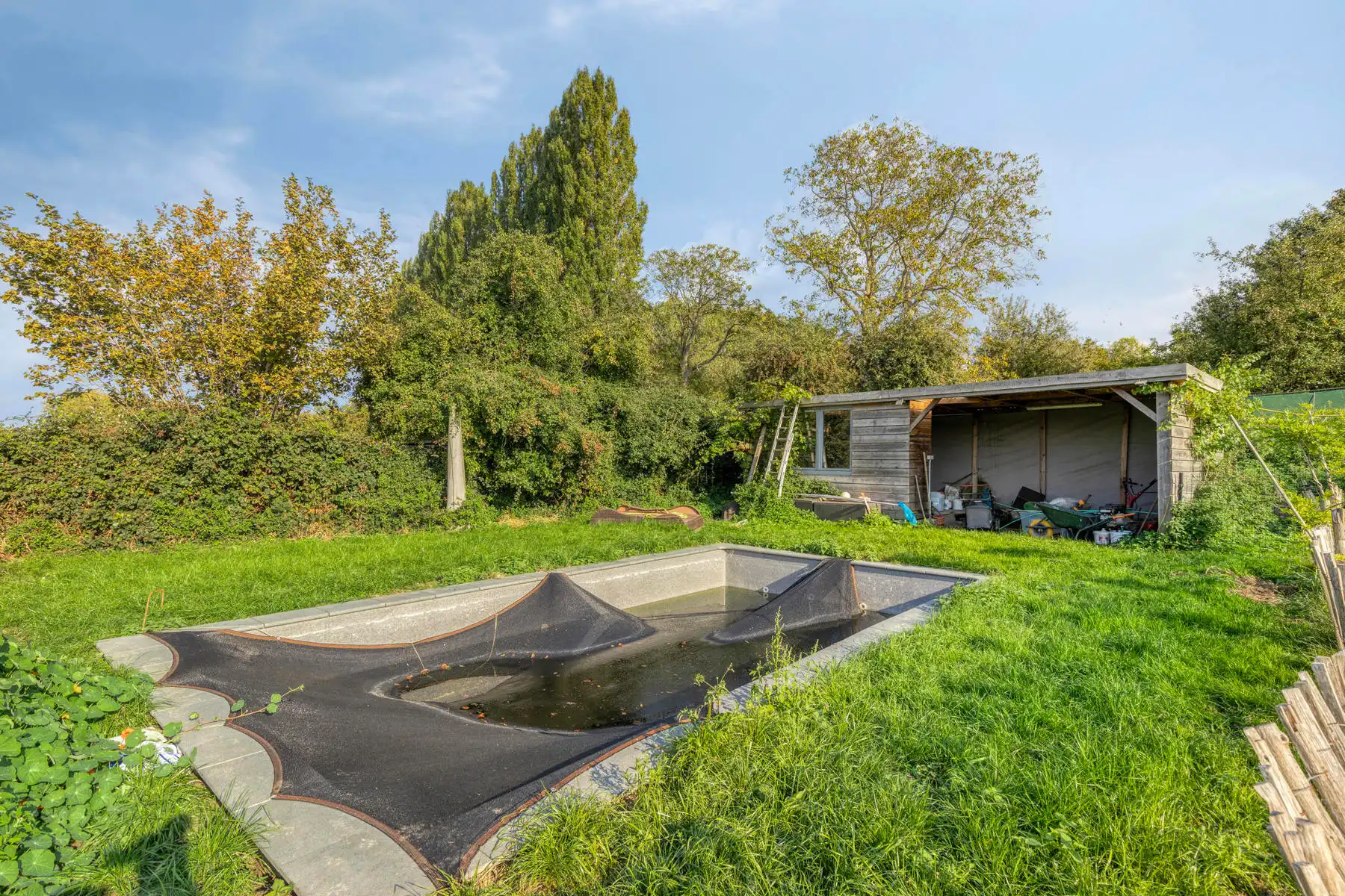 Ruime  gerenoveerde hoeve met werkplaats, zwembad en EPC B foto 4