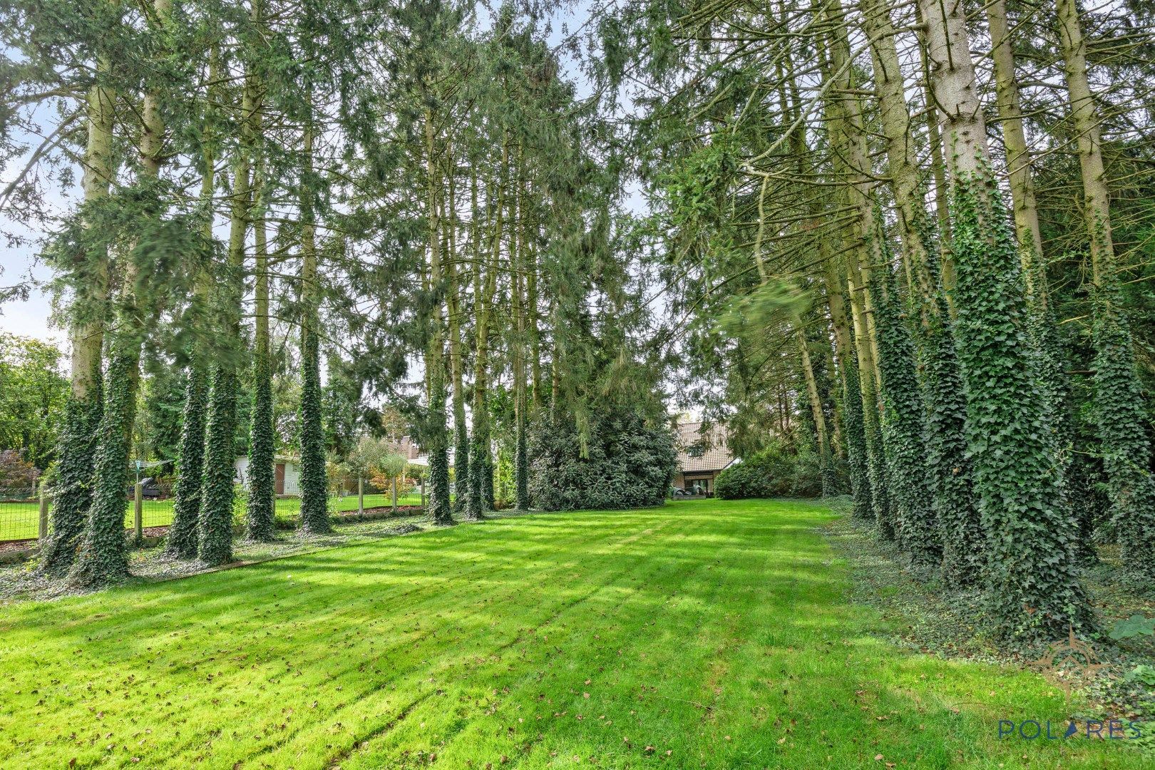 FANTASTISCH gelegen vrijstaande villa met 5 slaapkamers foto 32