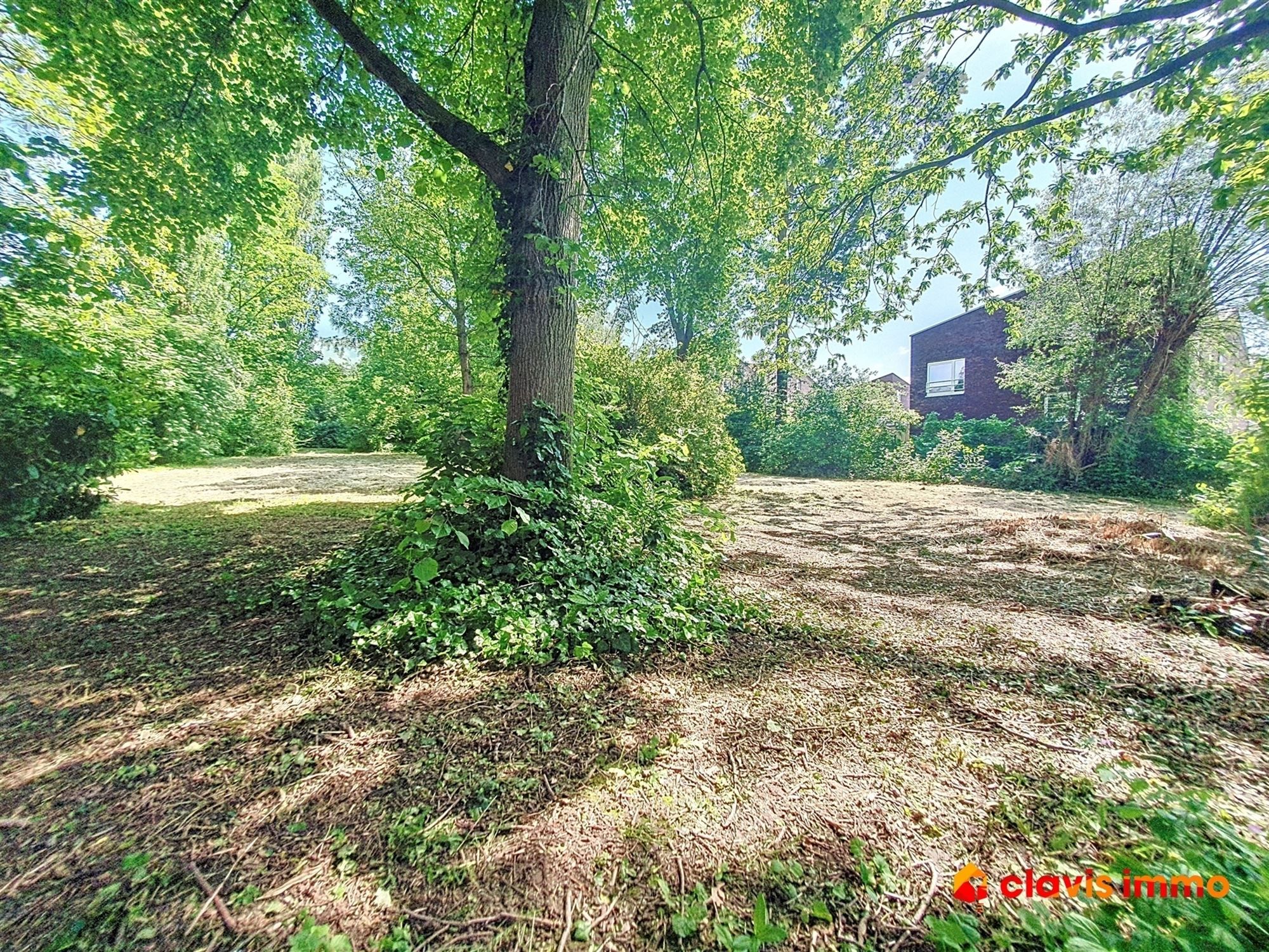 Perceel van ±1.747m² met tal van mogelijkheden foto 5